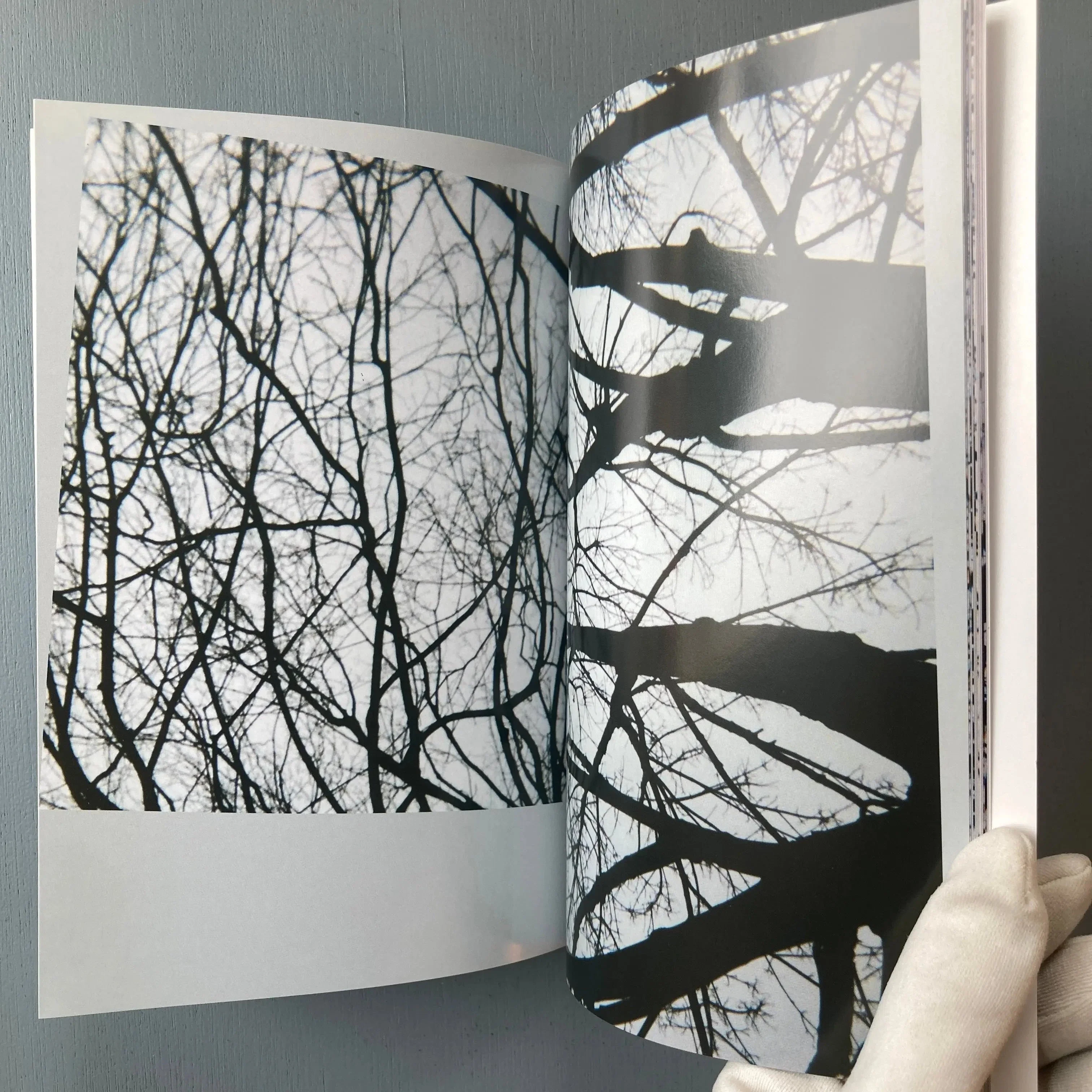 Michael Snow - 56 Tree Poems - Imschoot 1999 - Image 9