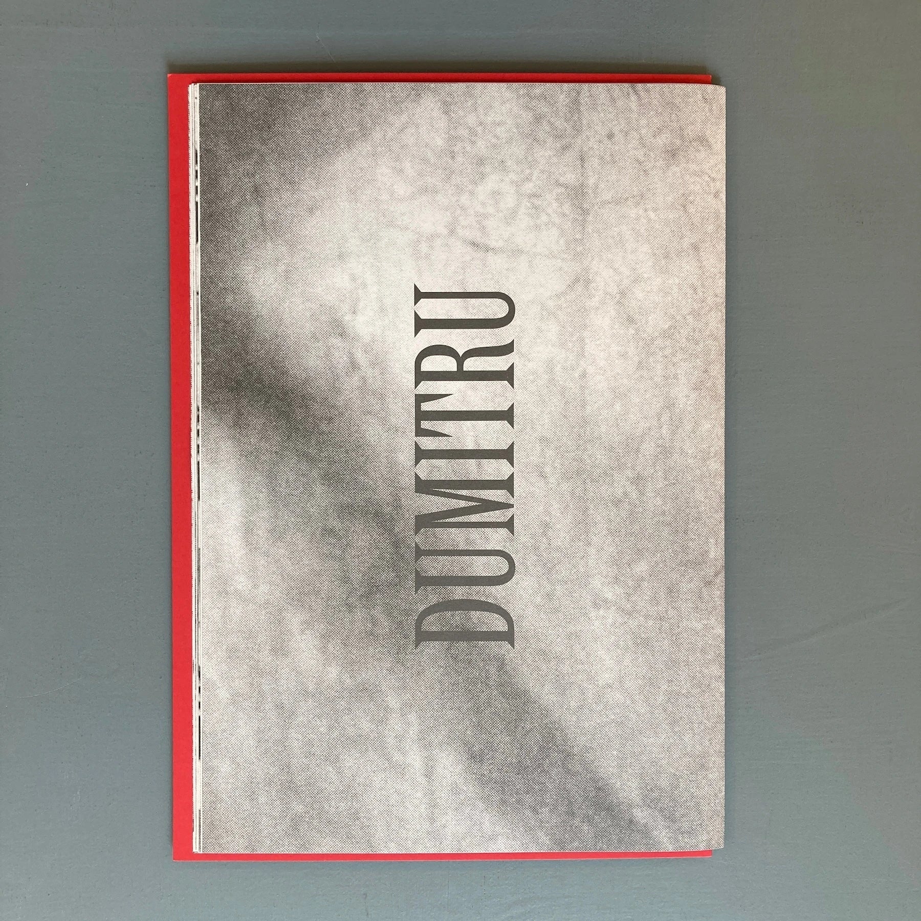 Michel Mazzoni - Dumitru - MER. Books 2019 - Image 10