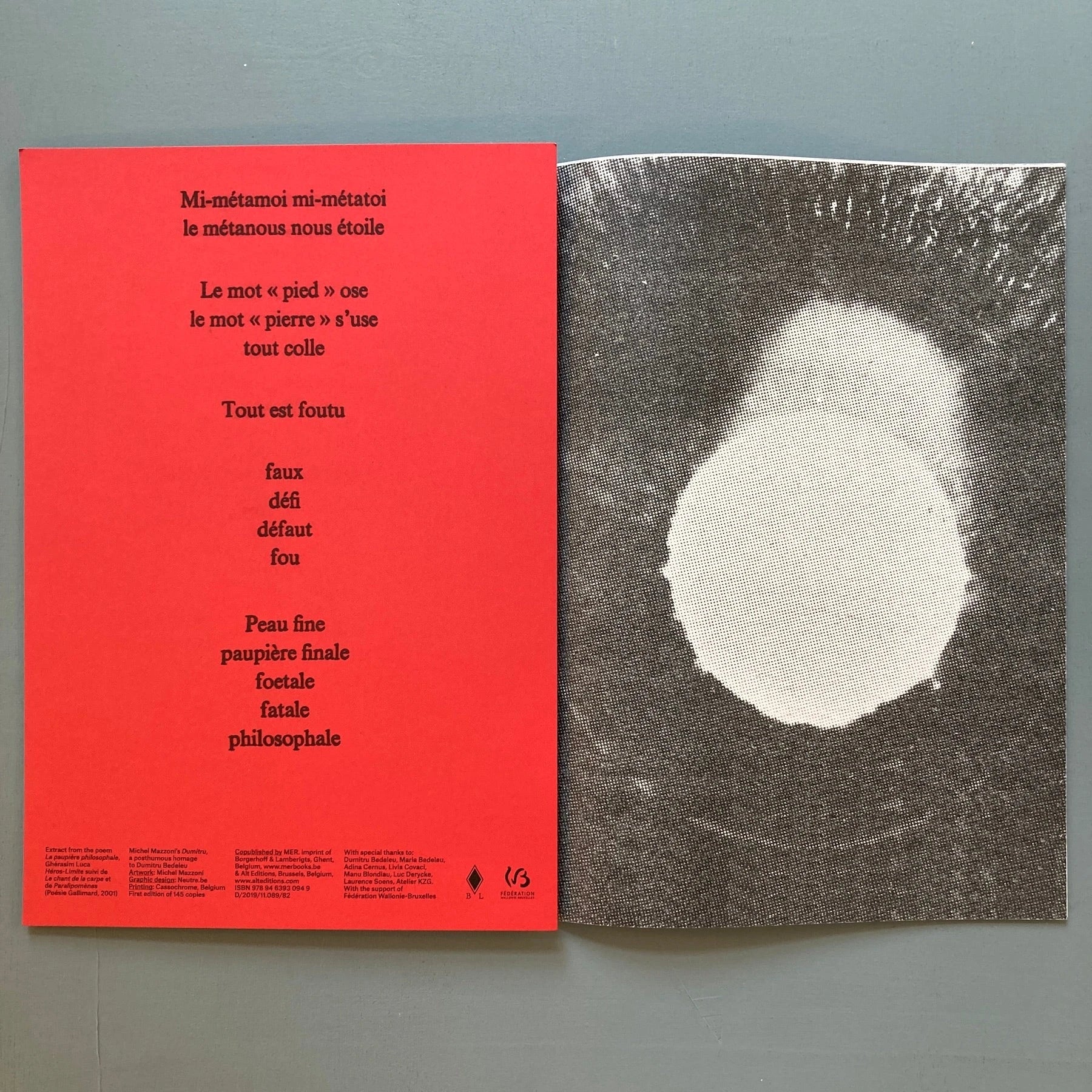 Michel Mazzoni - Dumitru - MER. Books 2019 - Image 5