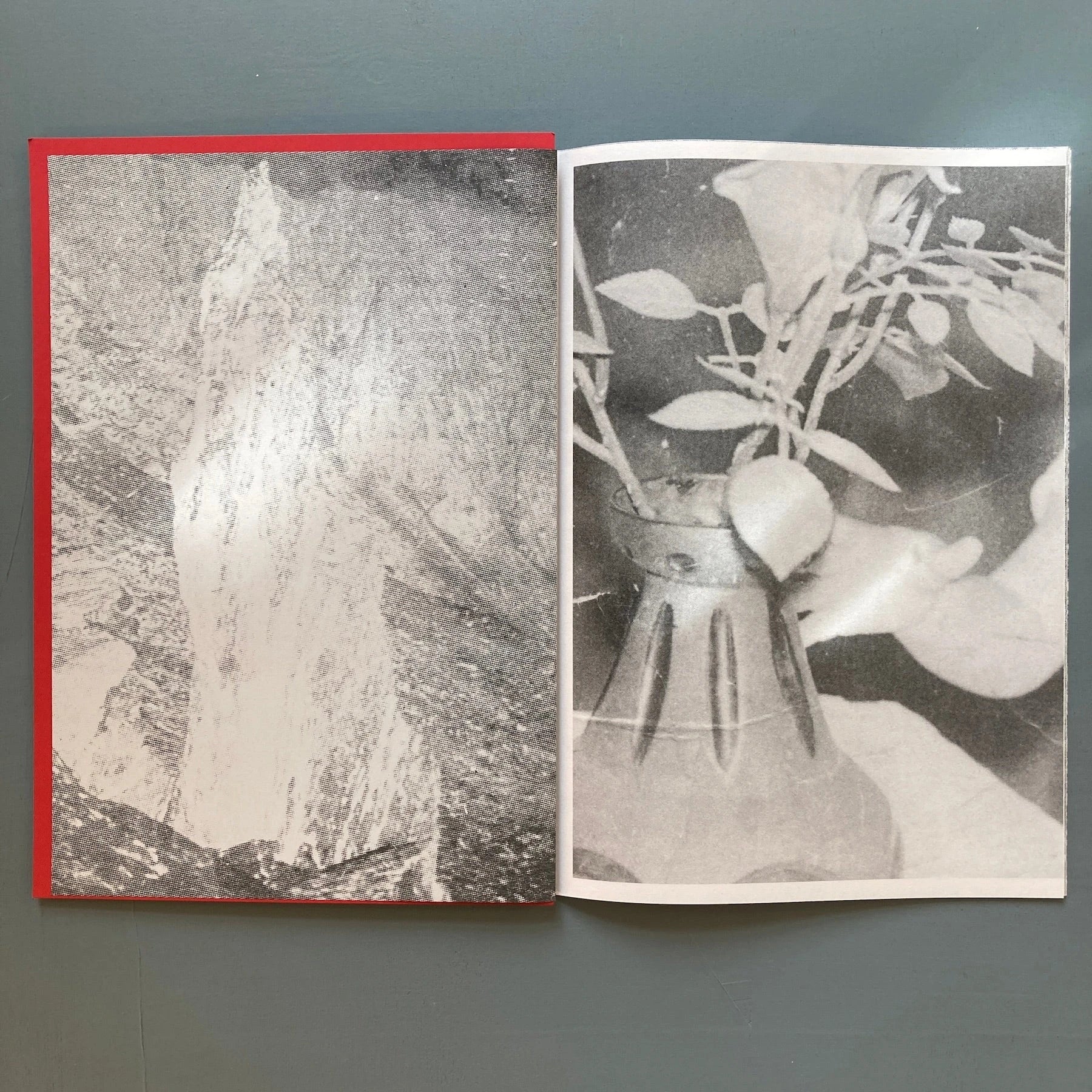Michel Mazzoni - Dumitru - MER. Books 2019 - Image 8