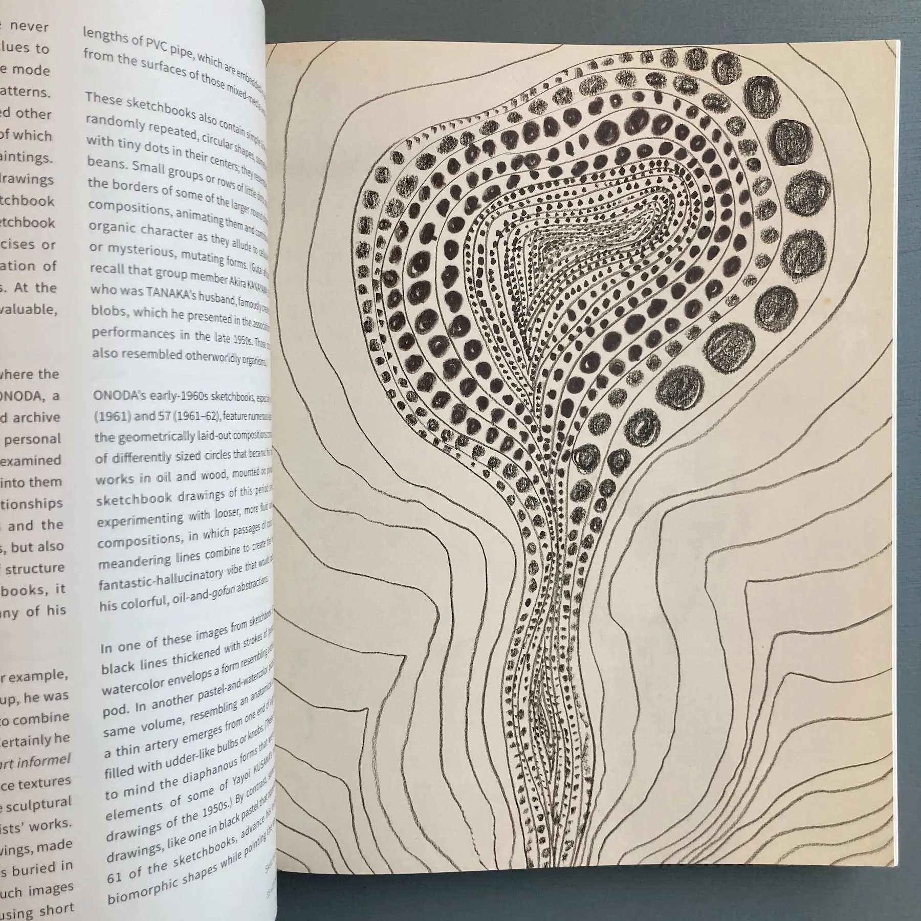 Minoru Onoda - Scheidegger & Spiess 2018 - Image 3