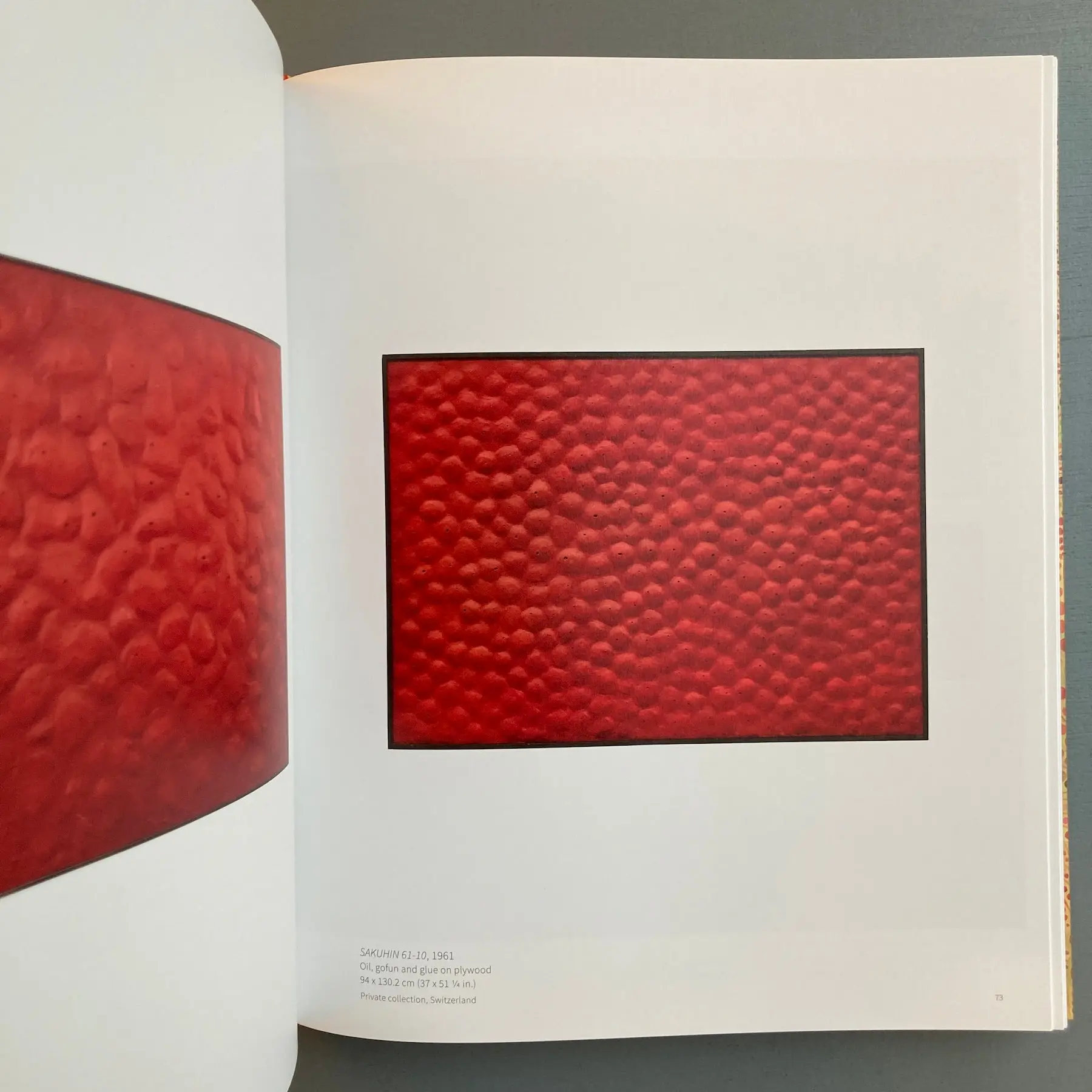 Minoru Onoda - Scheidegger & Spiess 2018 - Image 9