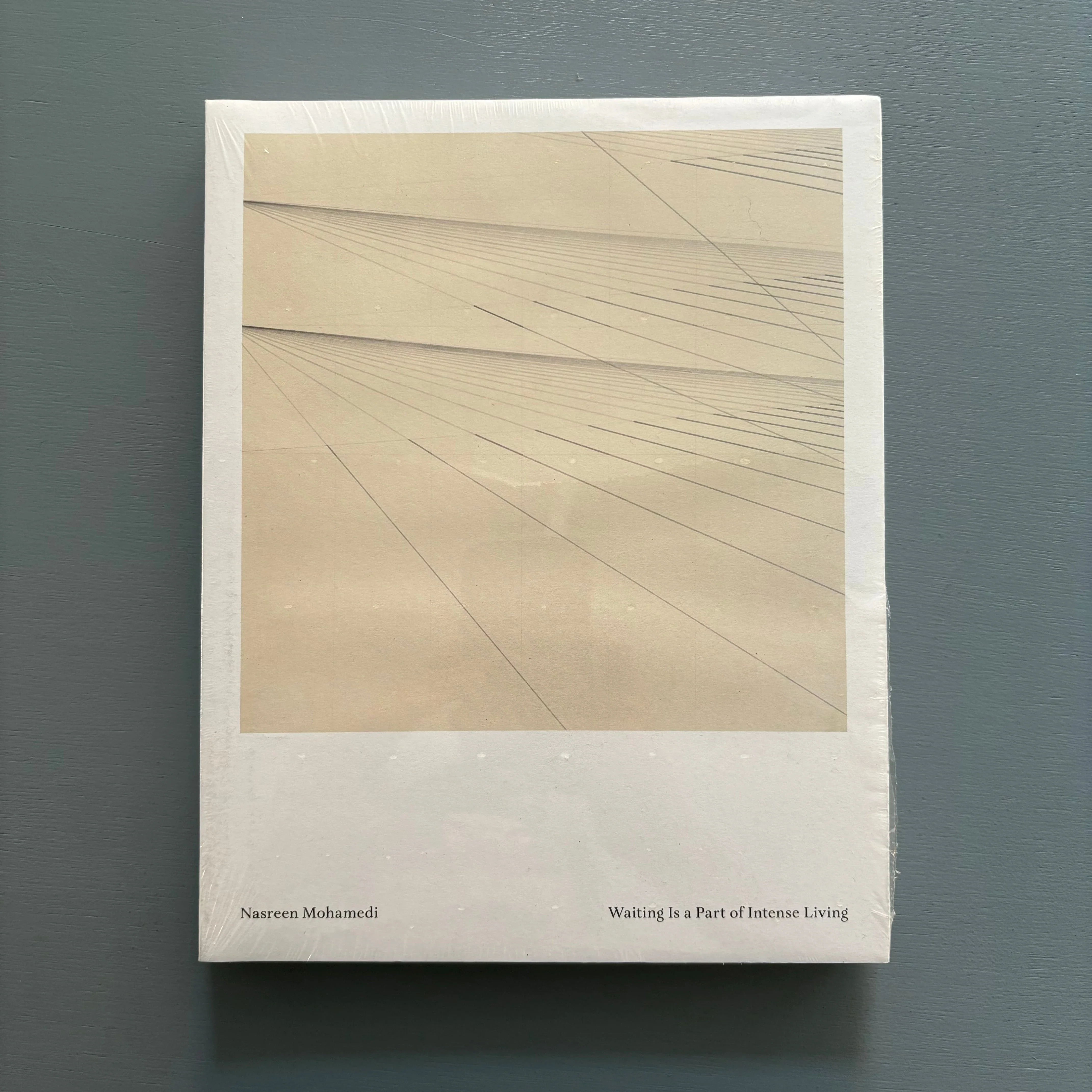 Nasreen Mohamedi - Waiting Is a Part of Intense Living - Reina Sofia 2015