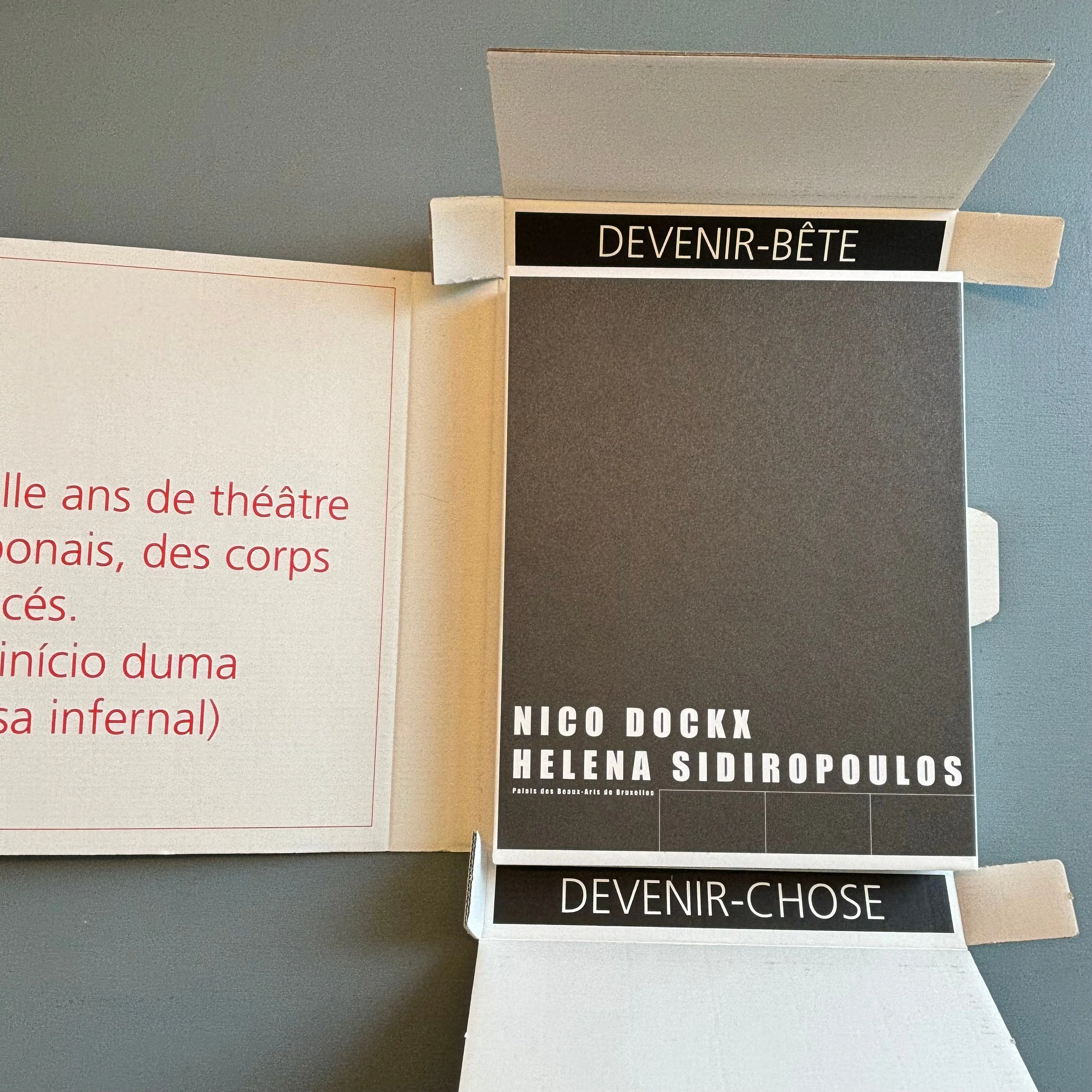 Nico Dockx & Helena Sidiropoulos - Projet pour un livre. Projet pour un film - Palais de Beaux-Arts Bruxelles 2009 - Image 2