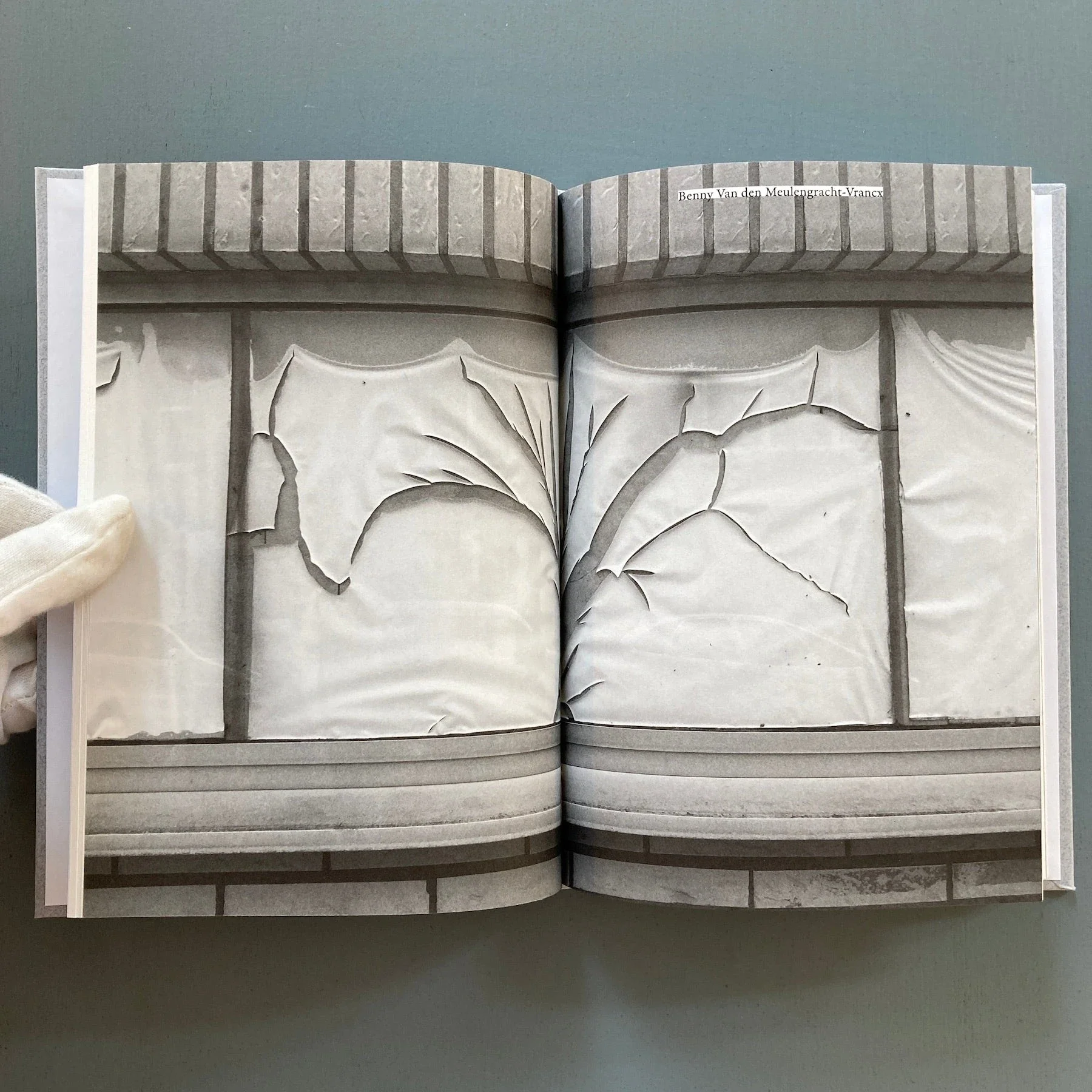 Of Planters; an Herbarium - Cour - Birthday, Felony & Fuss 2023 - Image 2