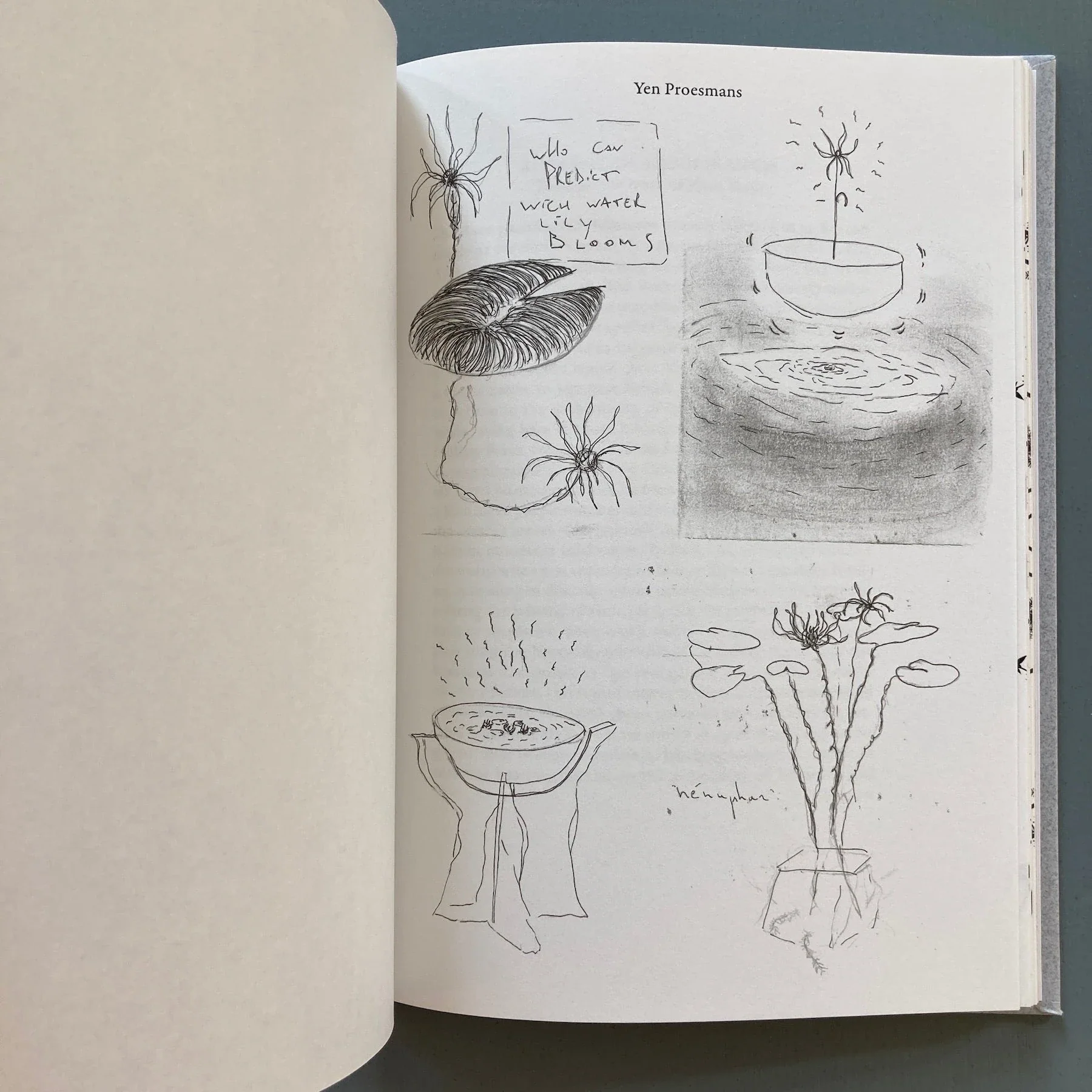 Of Planters; an Herbarium - Cour - Birthday, Felony & Fuss 2023 - Image 5