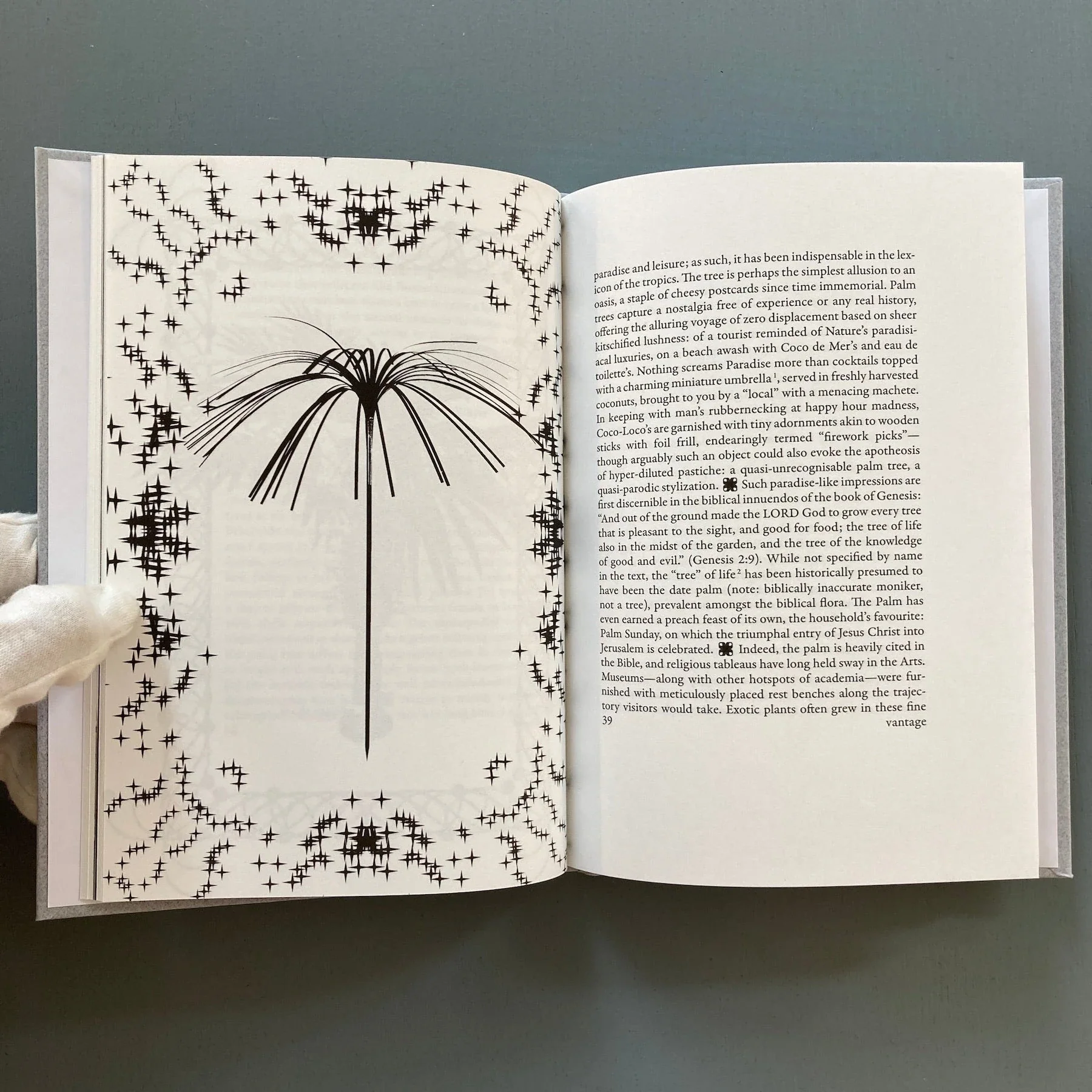 Of Planters; an Herbarium - Cour - Birthday, Felony & Fuss 2023 - Image 7