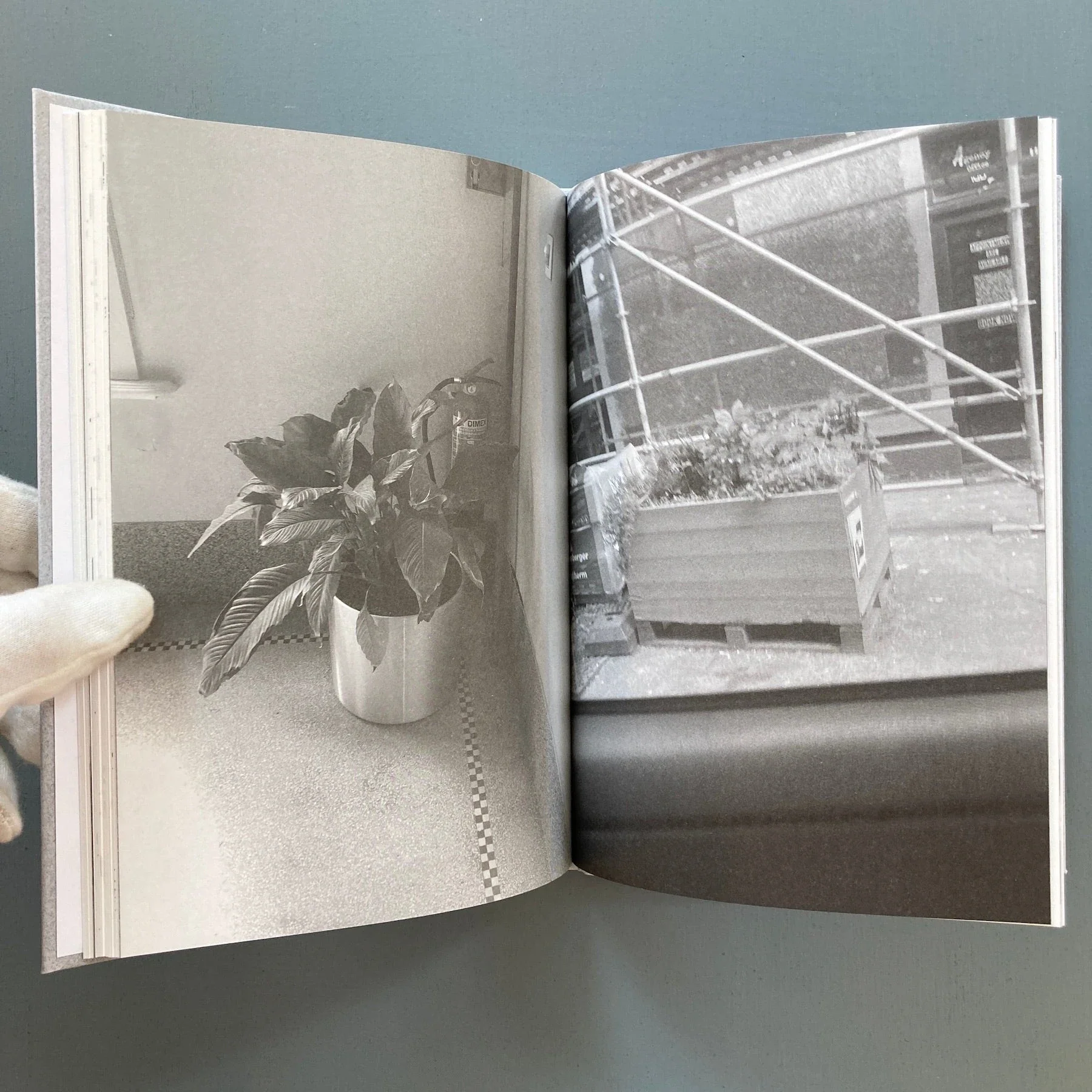 Of Planters; an Herbarium - Cour - Birthday, Felony & Fuss 2023 - Image 9