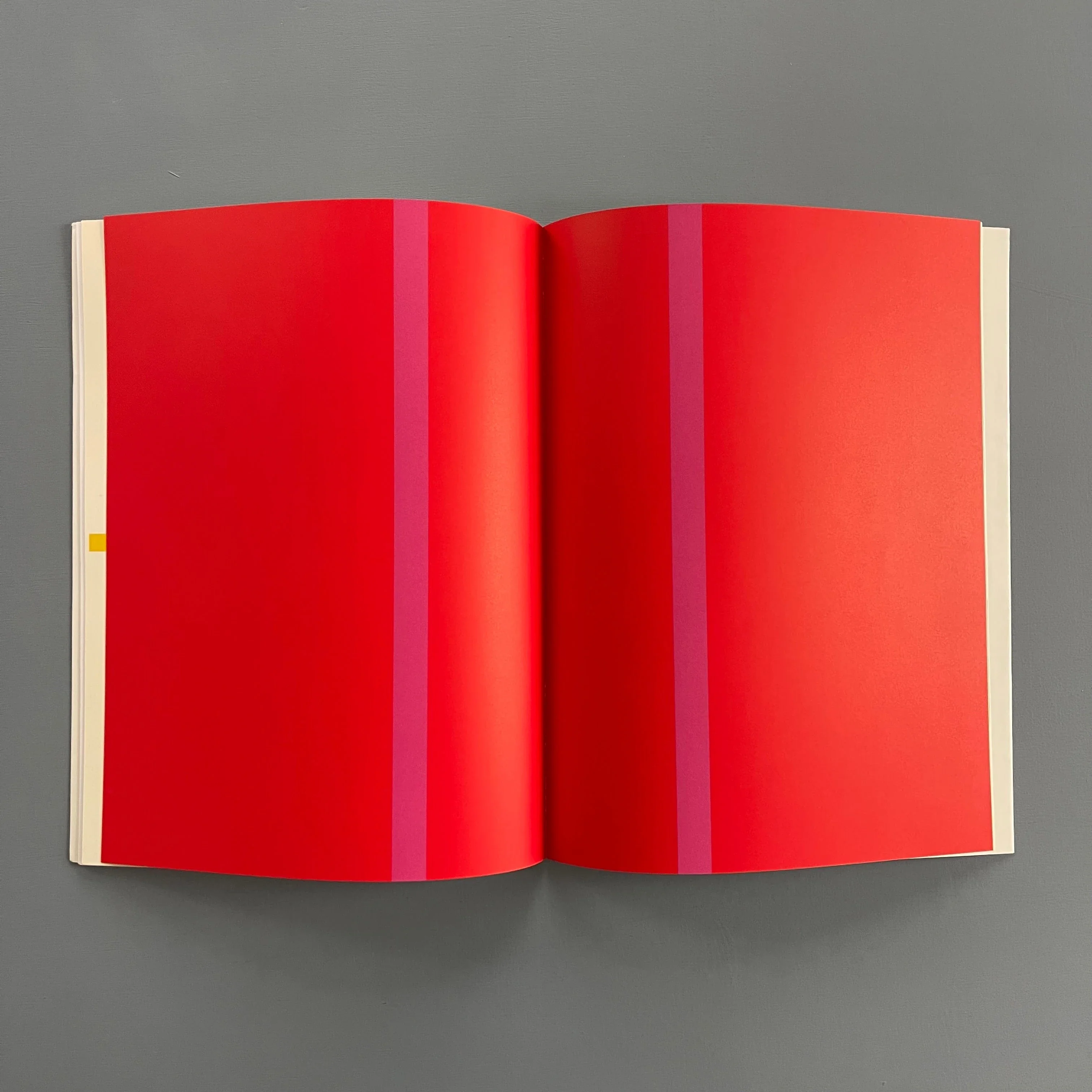 Olivier Mosset - Biennale di Venezia - Bundesamt fur Kultur 1990 - Image 3