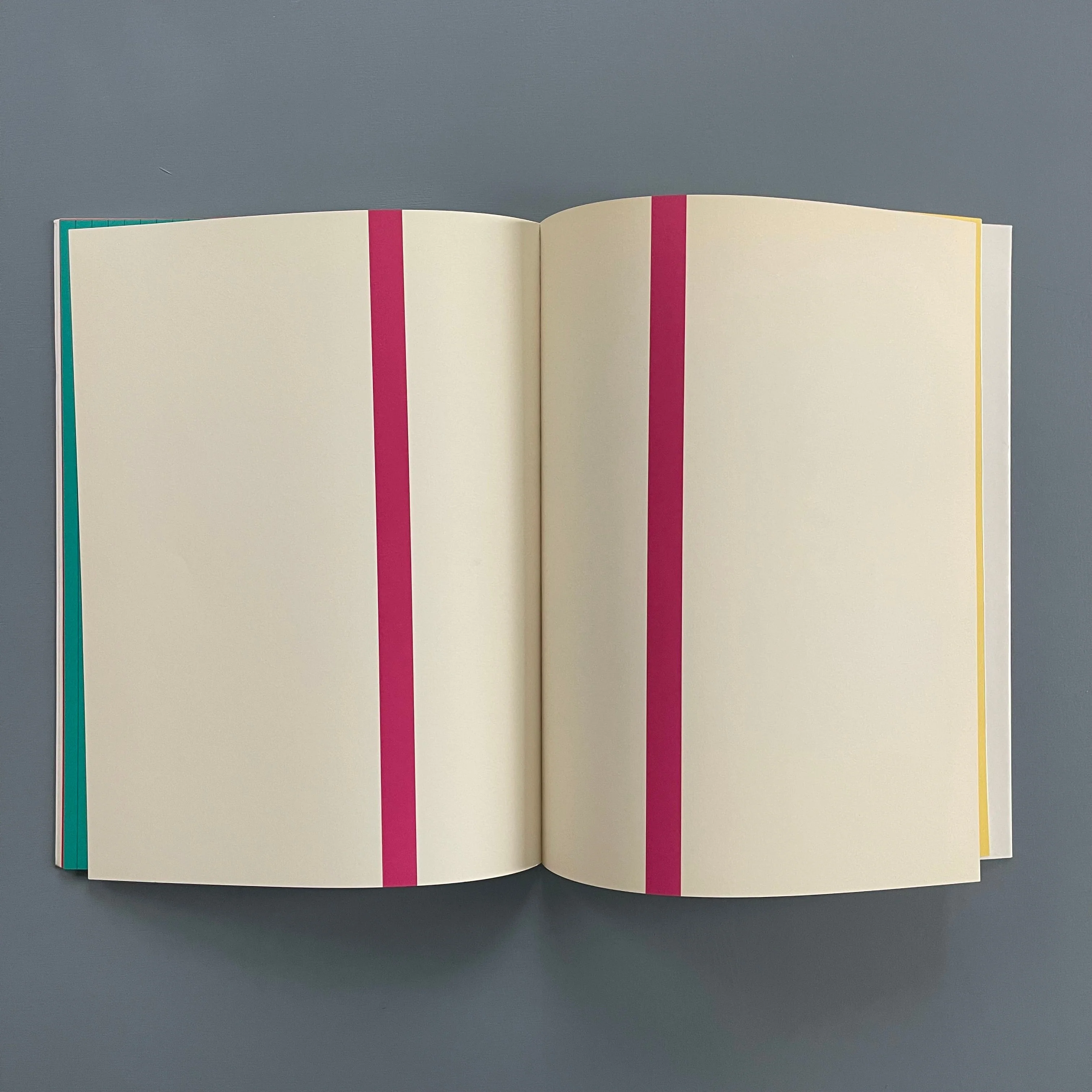 Olivier Mosset - Biennale di Venezia - Bundesamt fur Kultur 1990 - Image 5