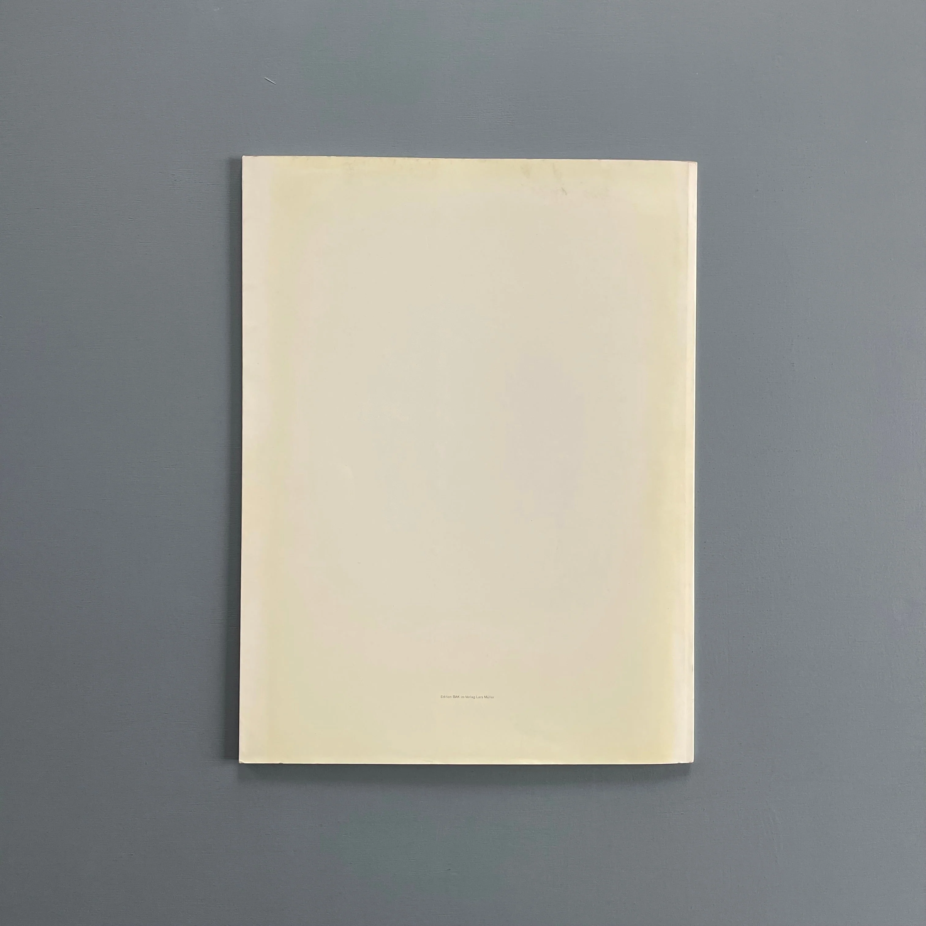 Olivier Mosset - Biennale di Venezia - Bundesamt fur Kultur 1990 - Image 8