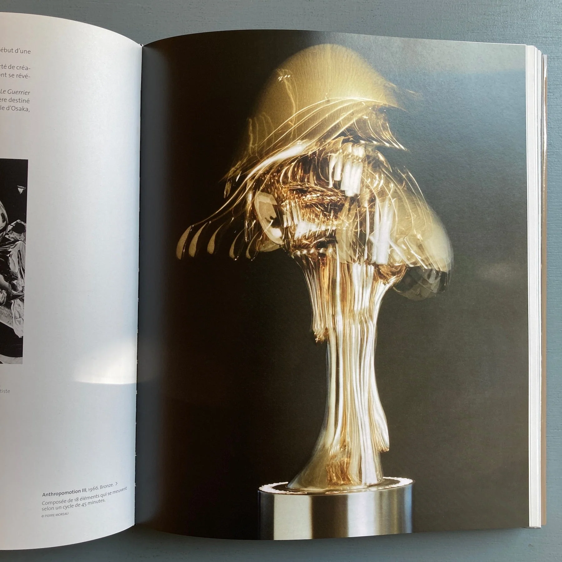 Olivier Strebelle: Histoires de Sculptures - Fonds Mercator 2009 - Image 2