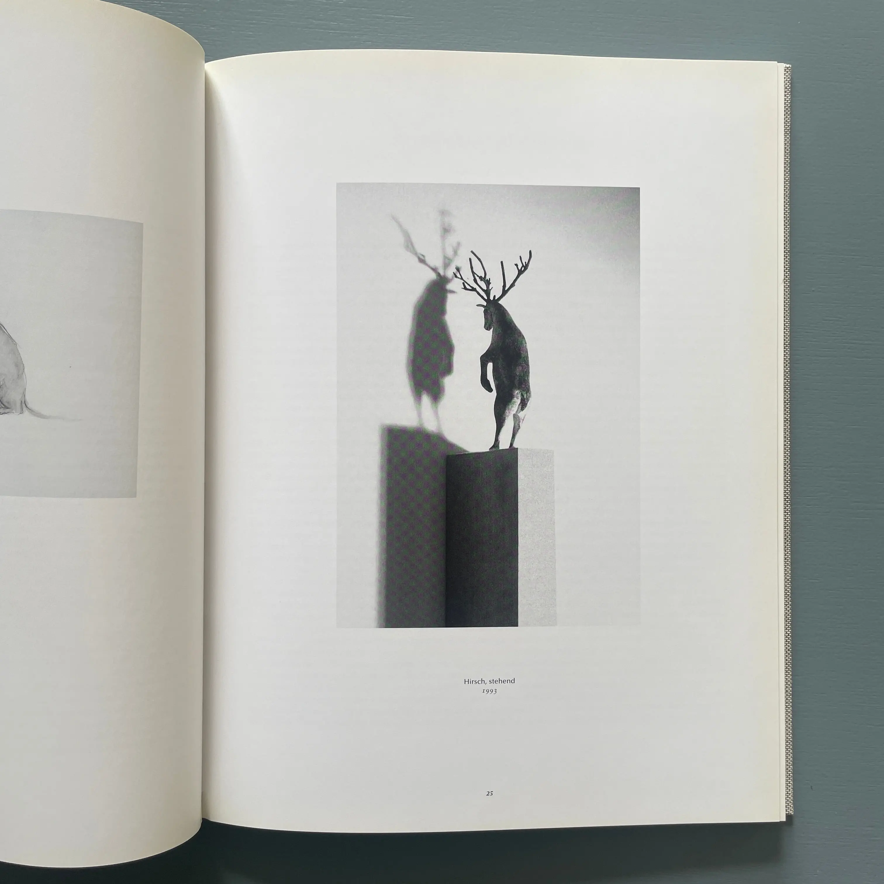 Paloma Varga Weisz - Revolver books 2004 - Image 5