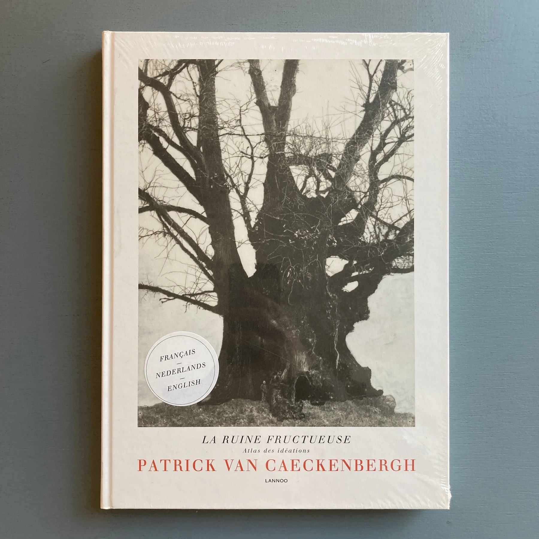 Patrick Van Caeckenbergh - La ruine fructueuse - Lannoo 2012