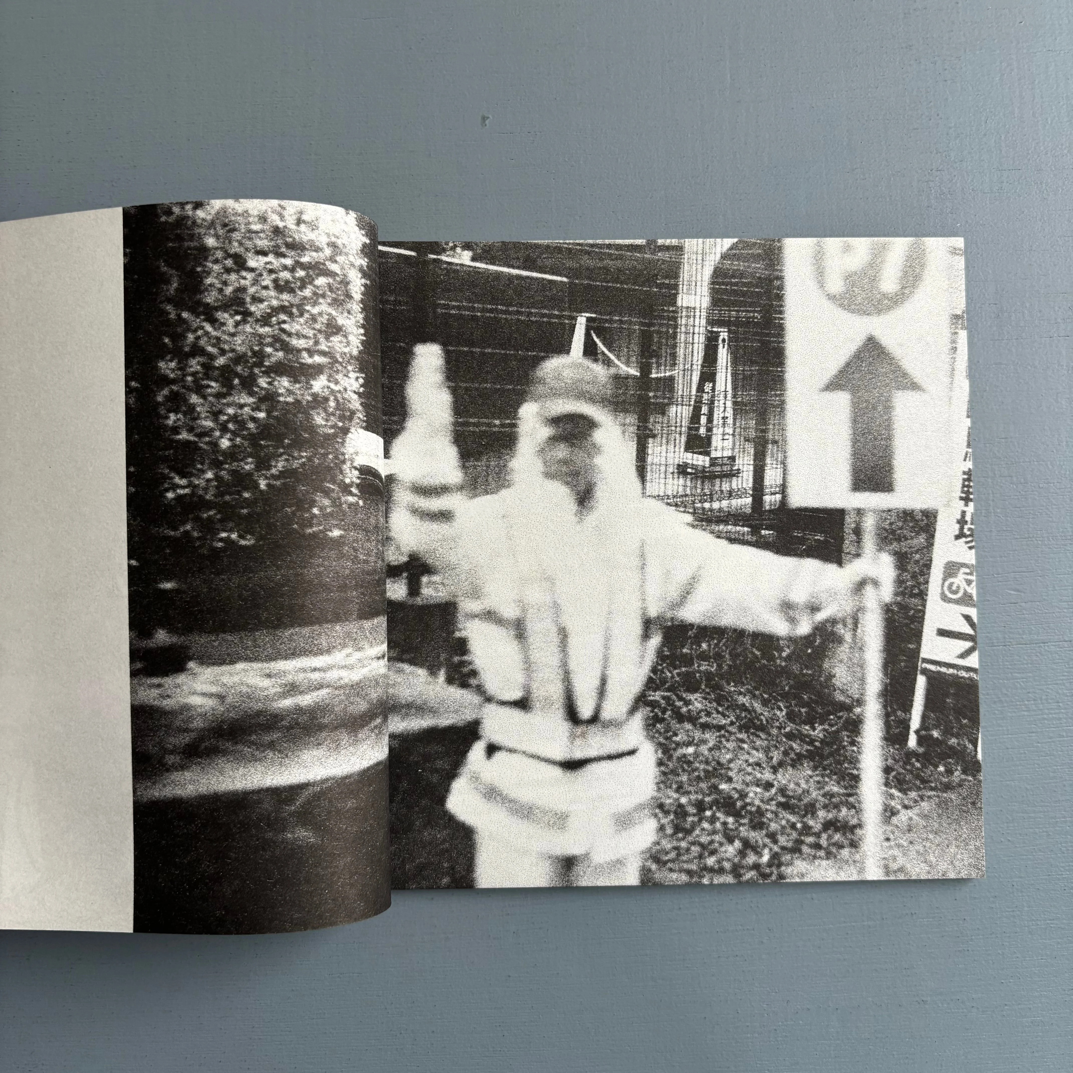 Paul Grund - Pulsing And Throbbing - 1991 Books 1991 - Image 2