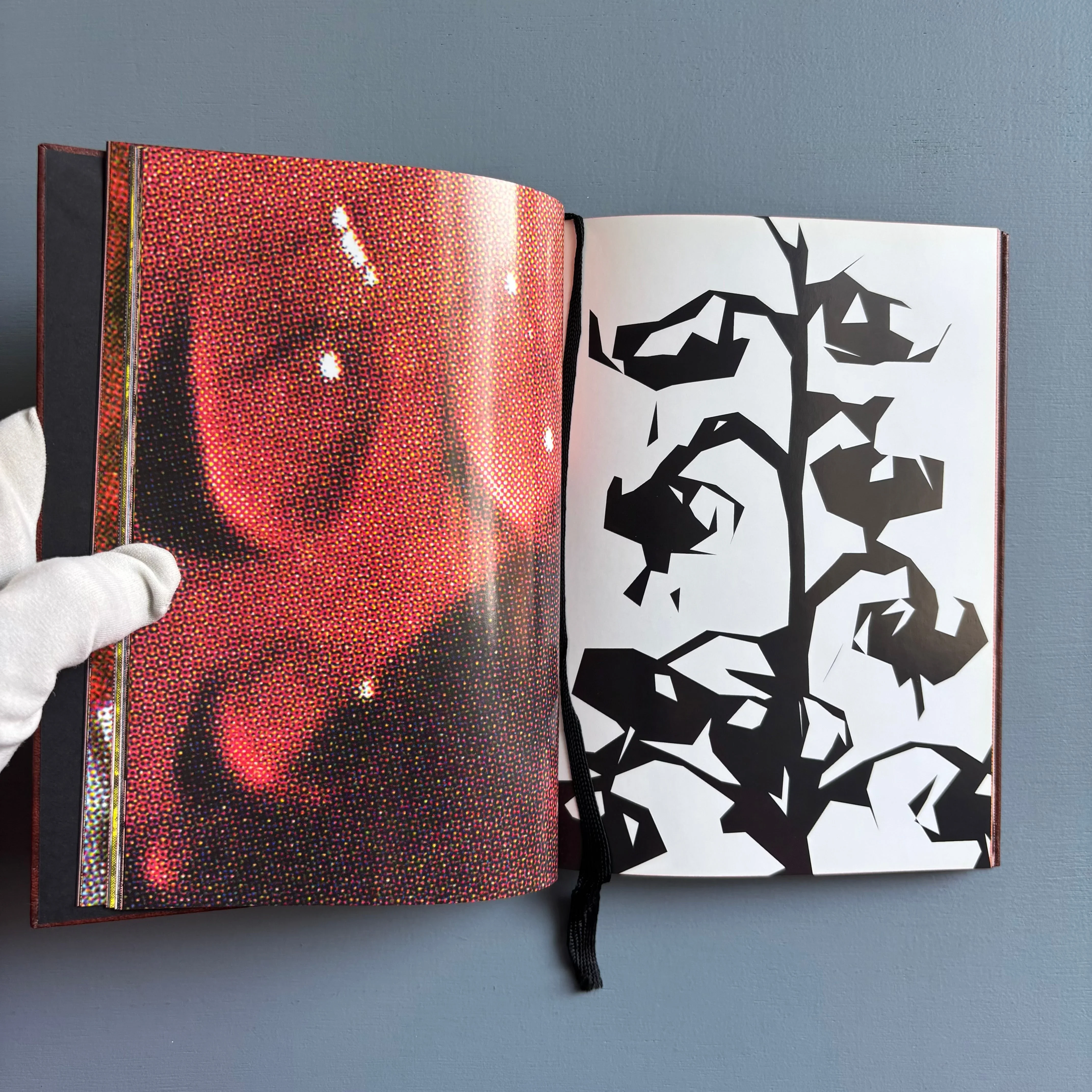 Paul Morrison - Black Medick - Imschoot 2004 - Image 7