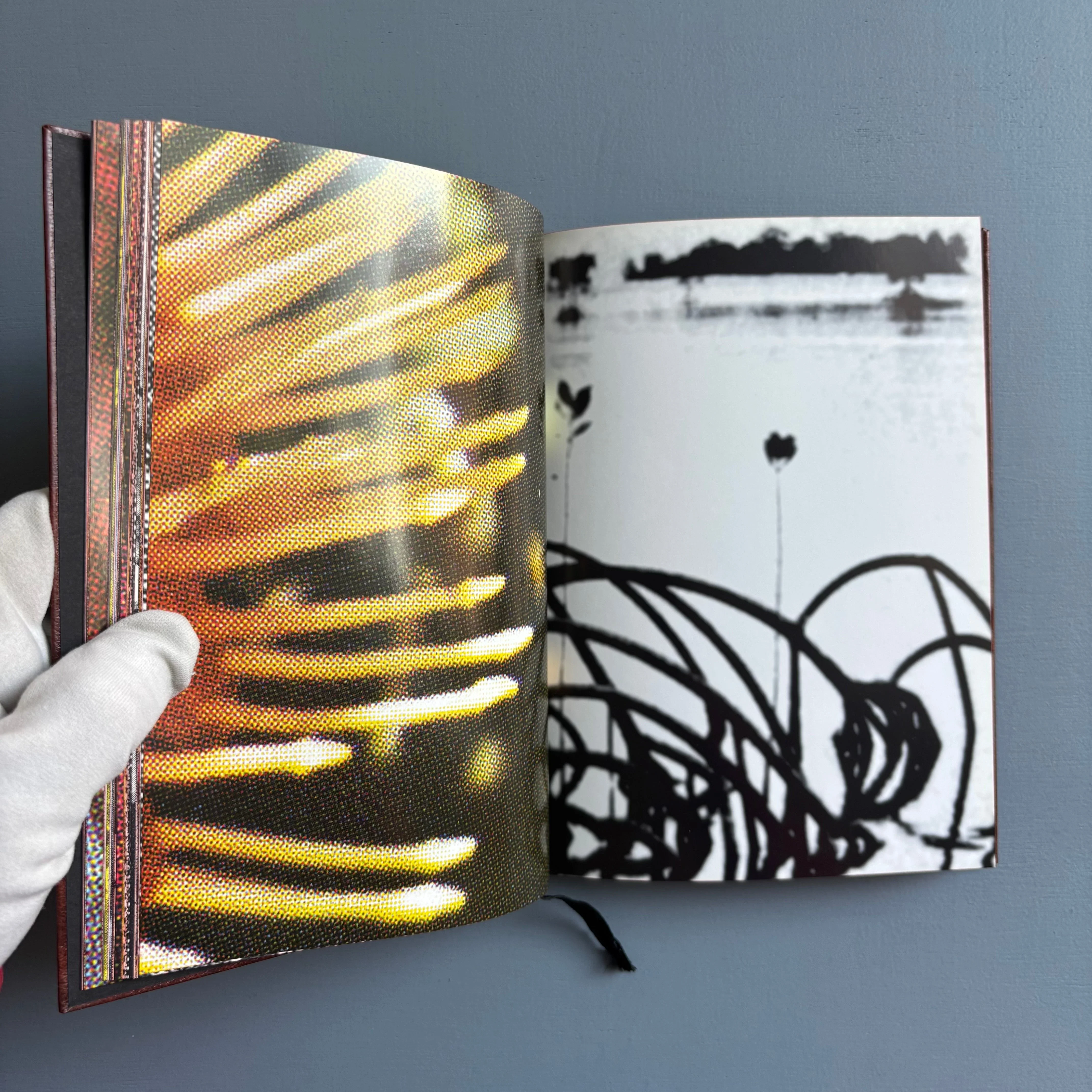 Paul Morrison - Black Medick - Imschoot 2004 - Image 9