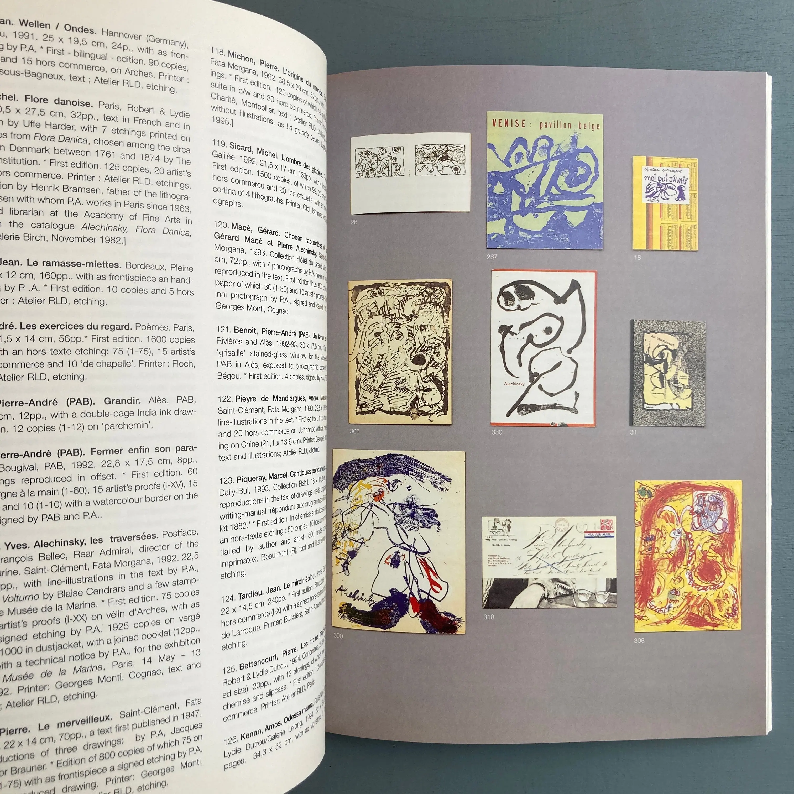 Pierre Alechinsky - The Complete Books - Ceuleers & Van de Velde Booksellers 2002 - Image 5