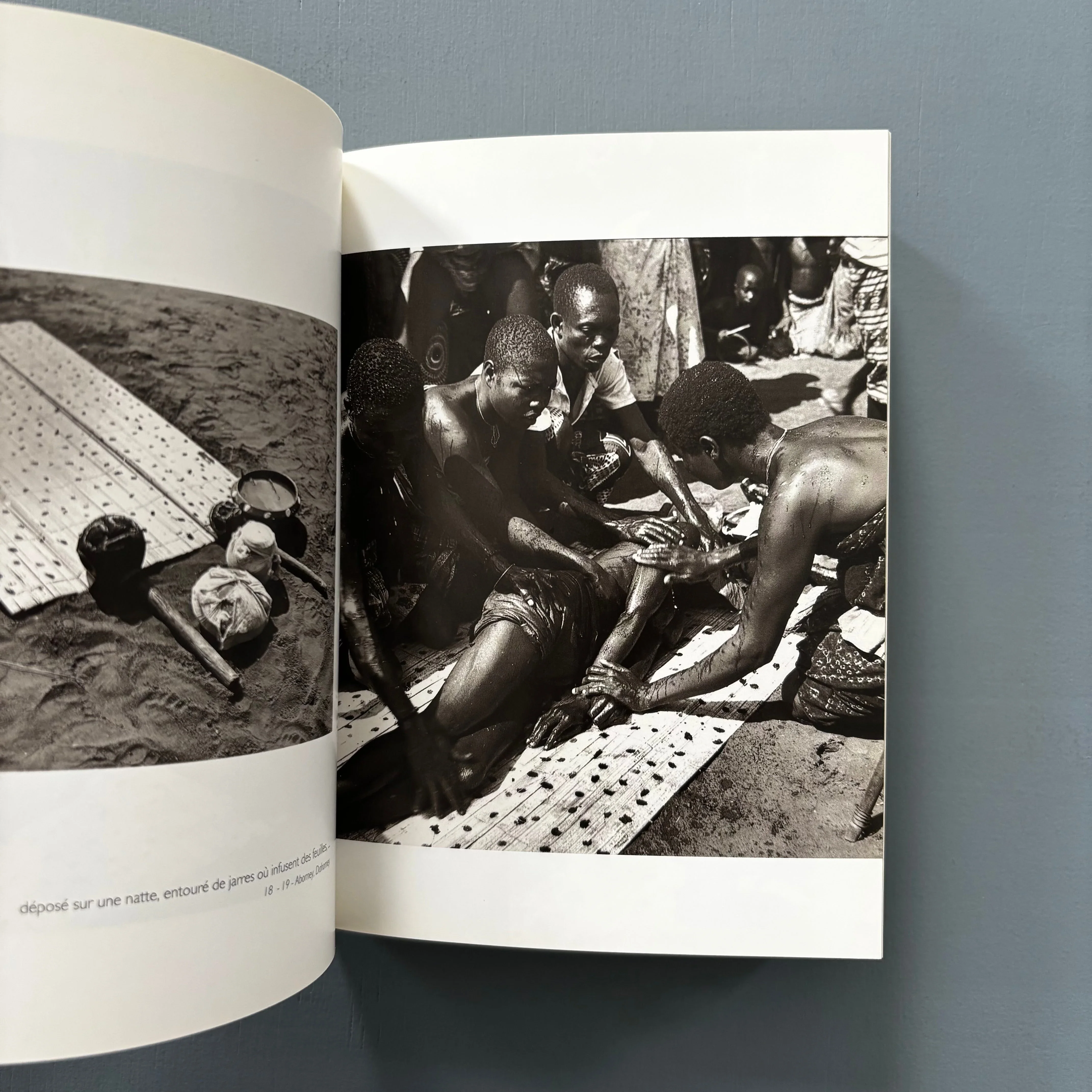 Pierre Fatumbi Verger - Dieux d'Afrique - Editions Revue Noire 1995 - Image 3