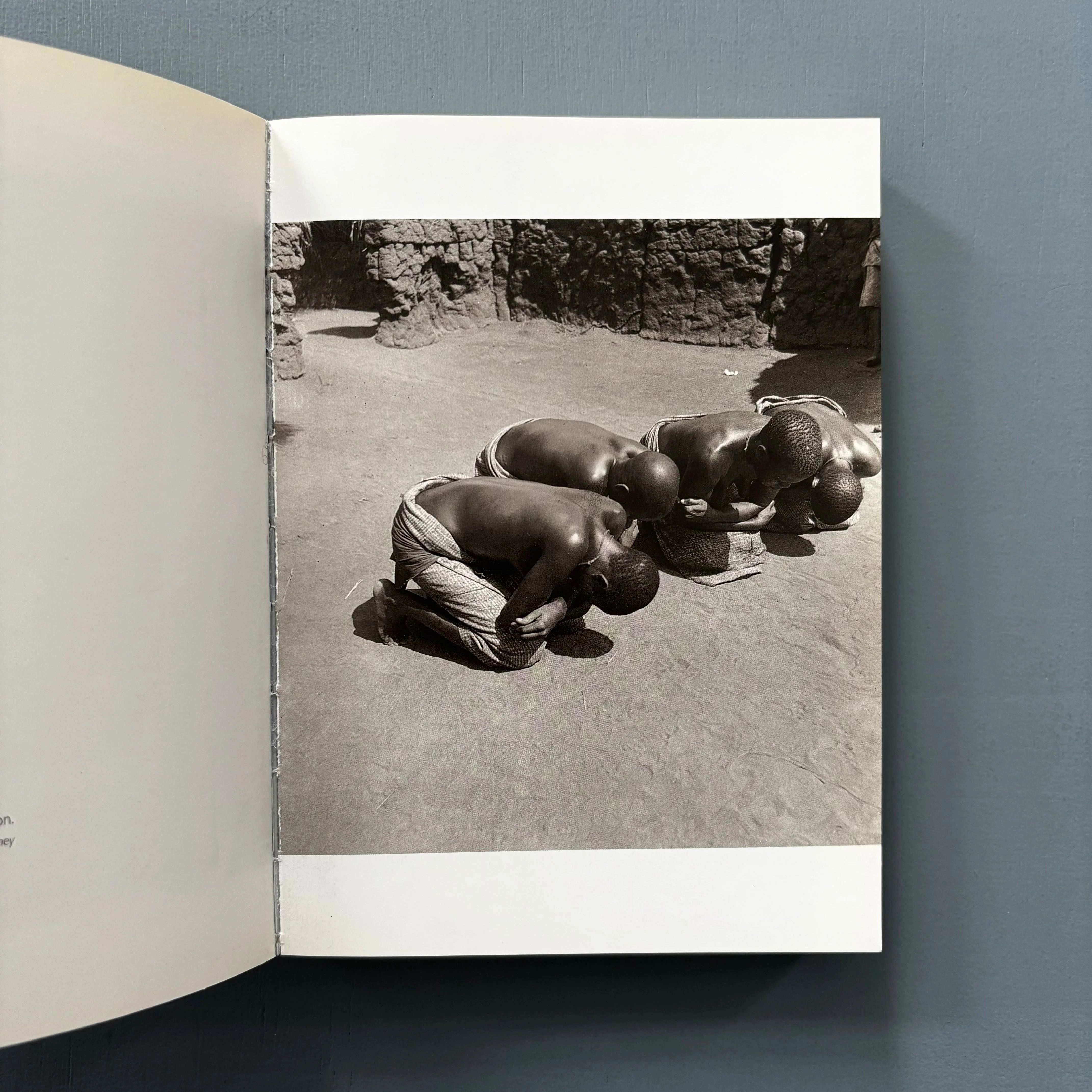 Pierre Fatumbi Verger - Dieux d'Afrique - Editions Revue Noire 1995 - Image 4
