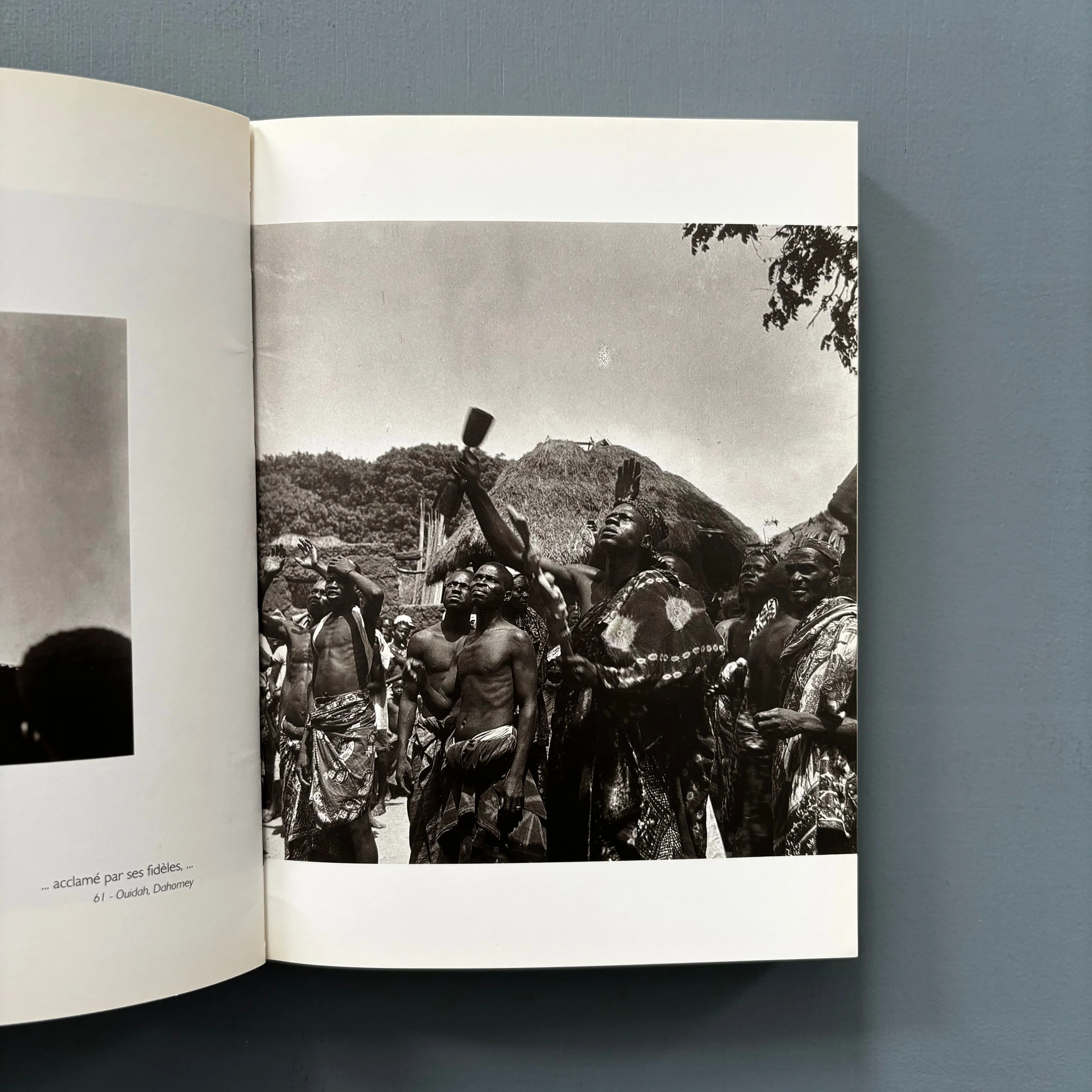 Pierre Fatumbi Verger - Dieux d'Afrique - Editions Revue Noire 1995 - Image 6