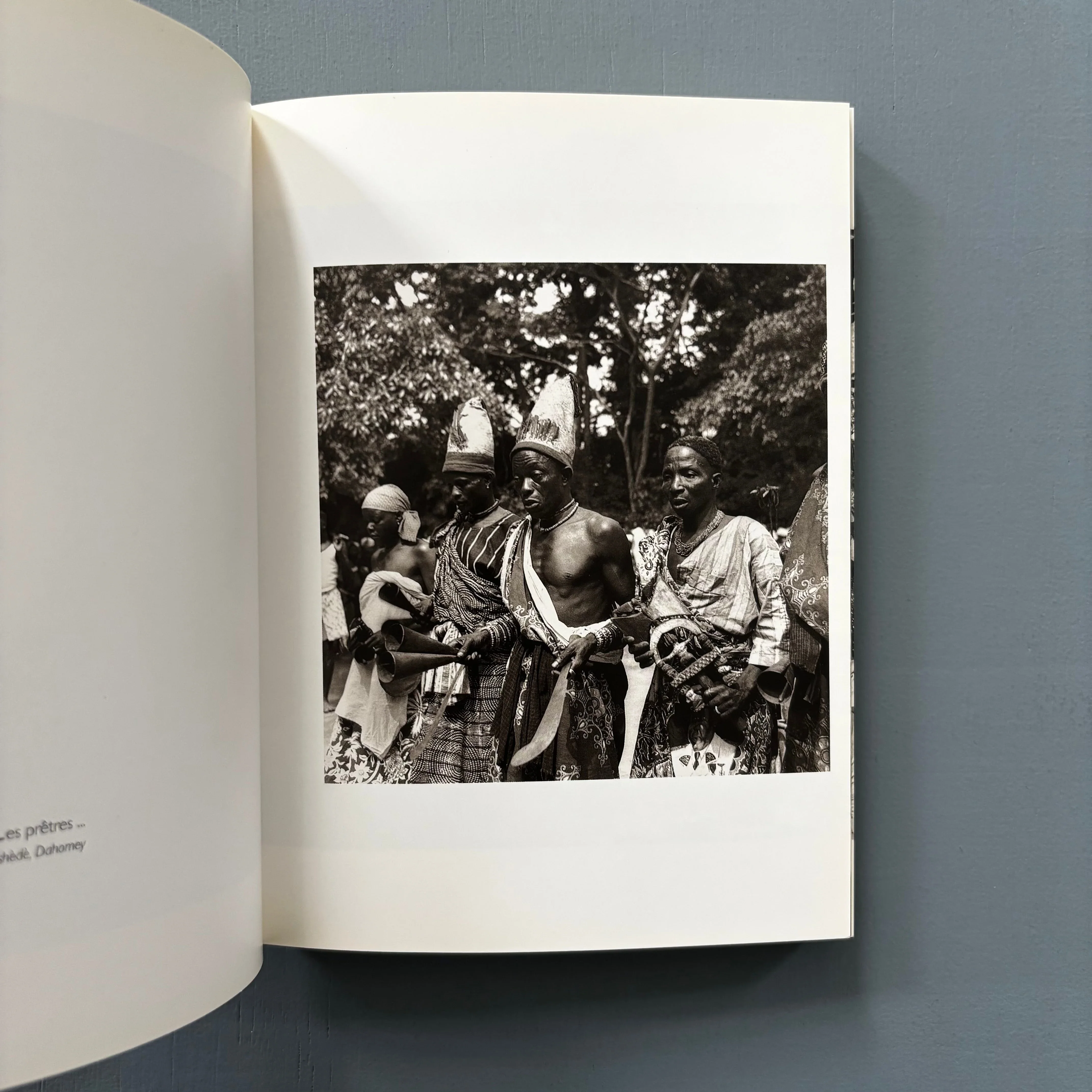 Pierre Fatumbi Verger - Dieux d'Afrique - Editions Revue Noire 1995 - Image 7