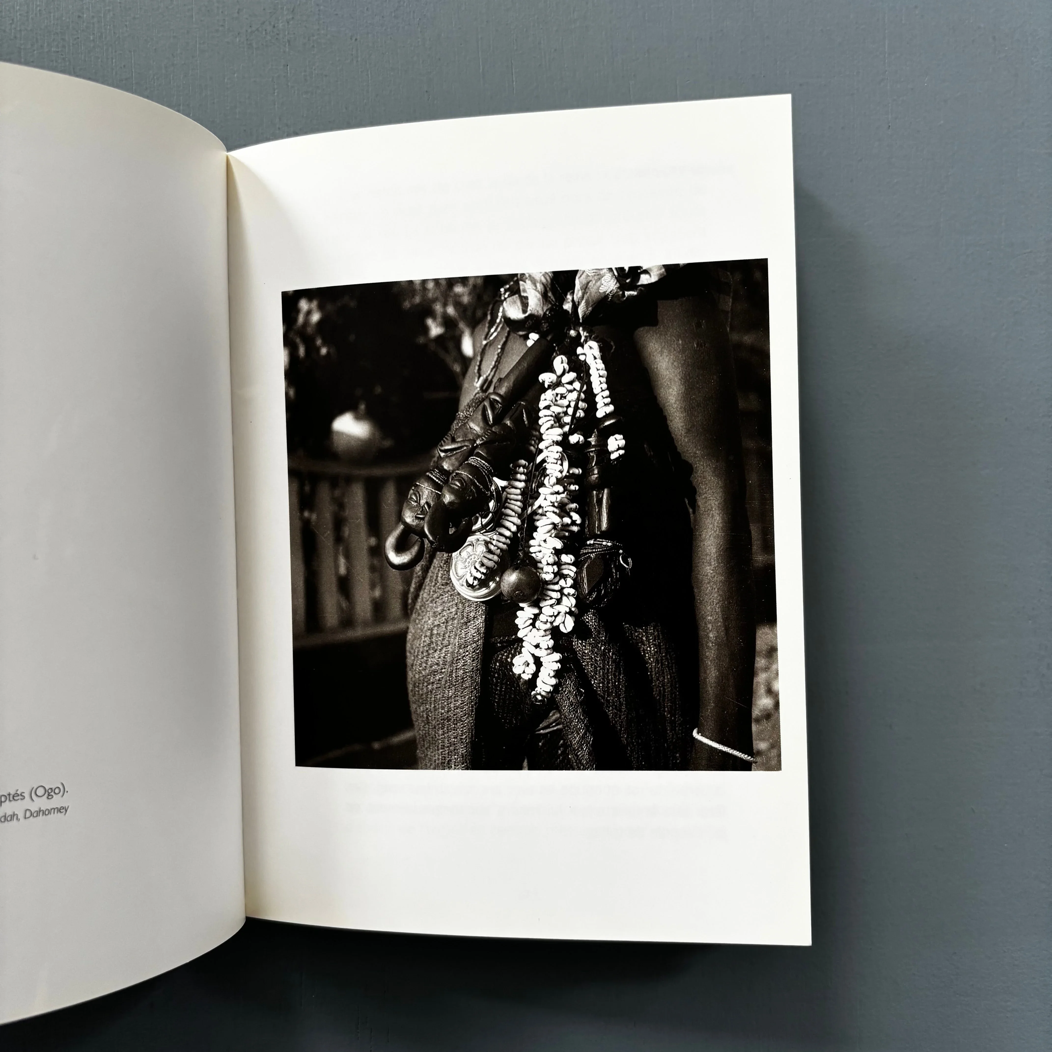 Pierre Fatumbi Verger - Dieux d'Afrique - Editions Revue Noire 1995 - Image 8