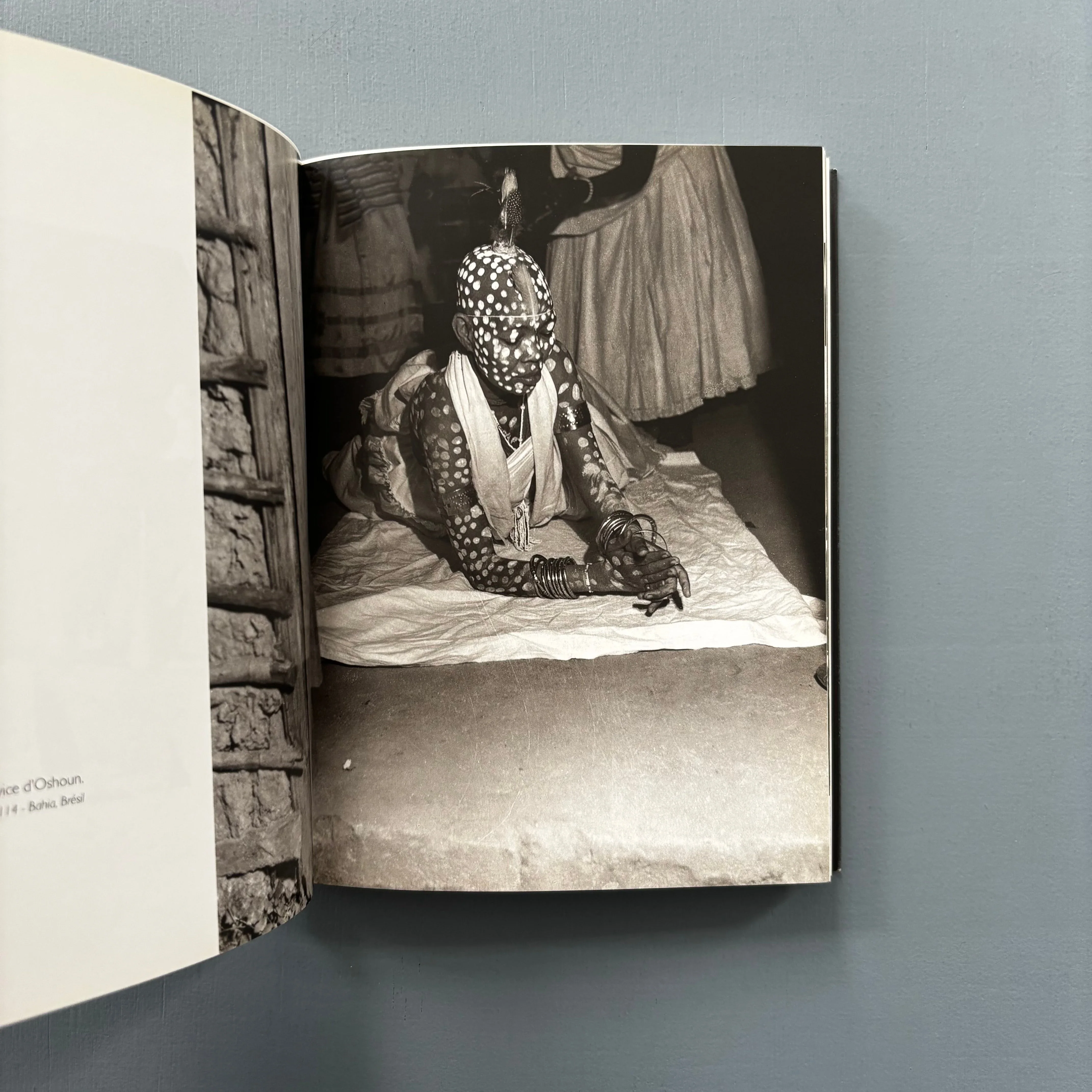 Pierre Fatumbi Verger - Dieux d'Afrique - Editions Revue Noire 1995 - Image 9