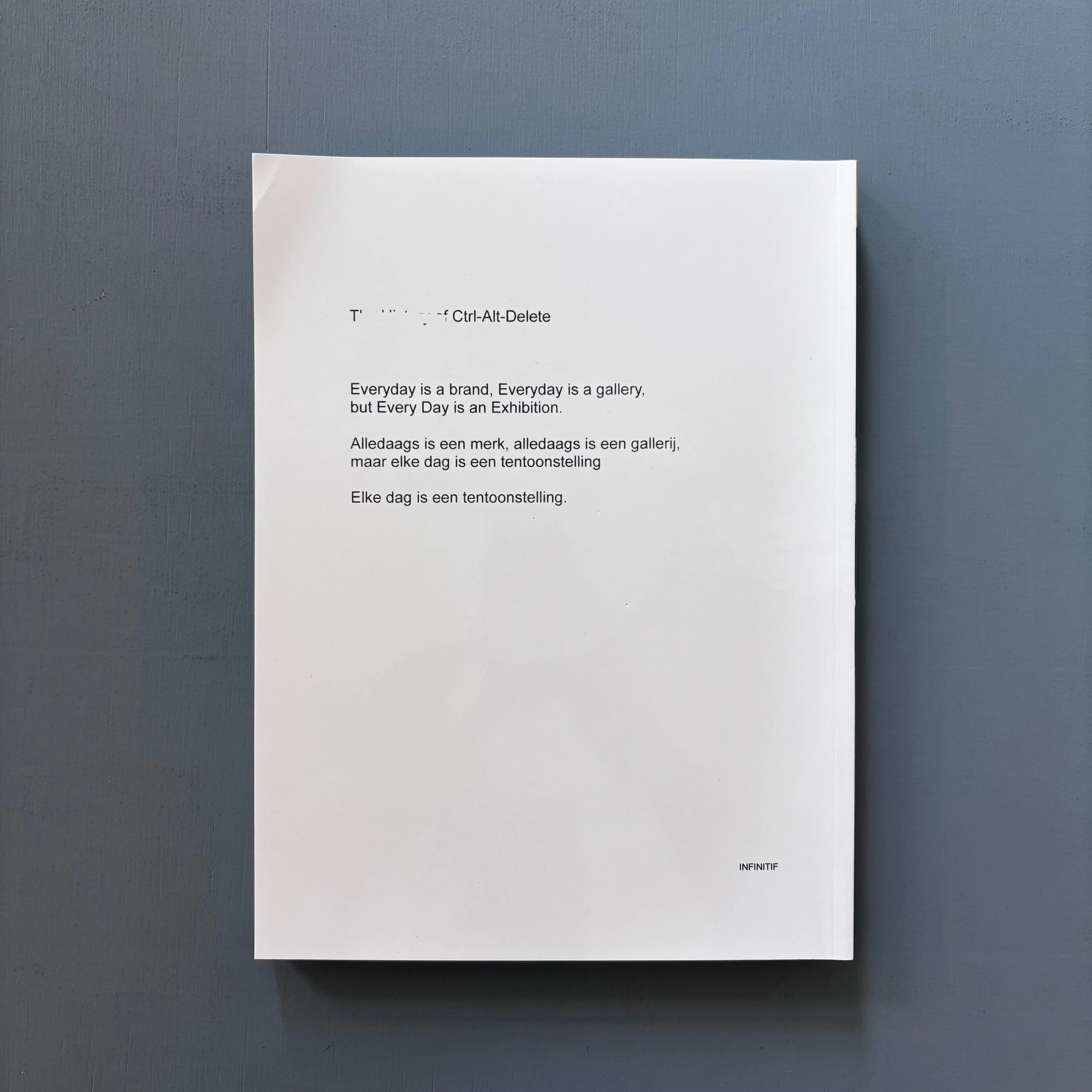 Pieter De Clercq - Elke Dag is een Tentoonstelling - Infinitif 2024 - Image 18