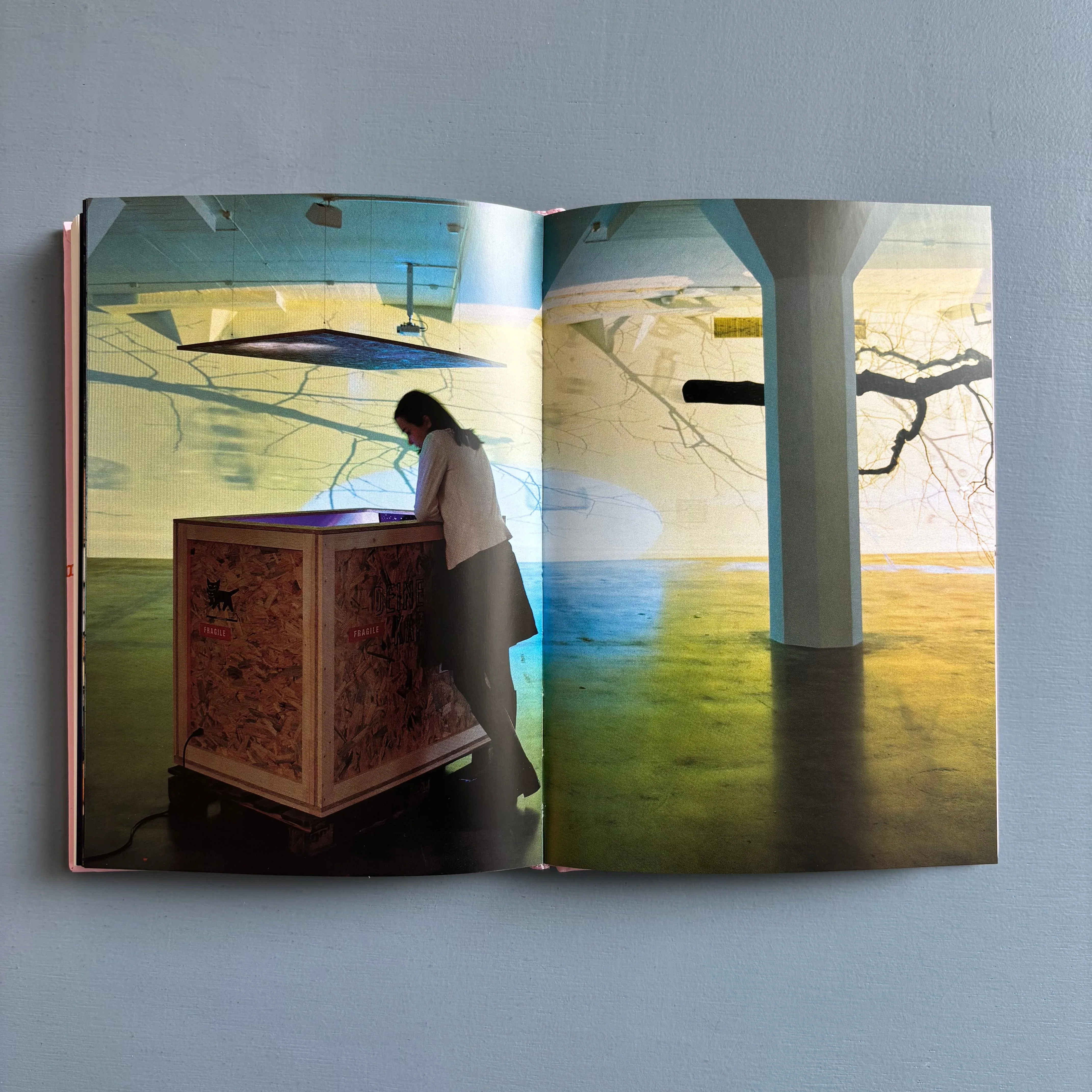 Pipilotti Rist - Congratulations! - Magasin 3/Lars Müller 2007 - Image 10