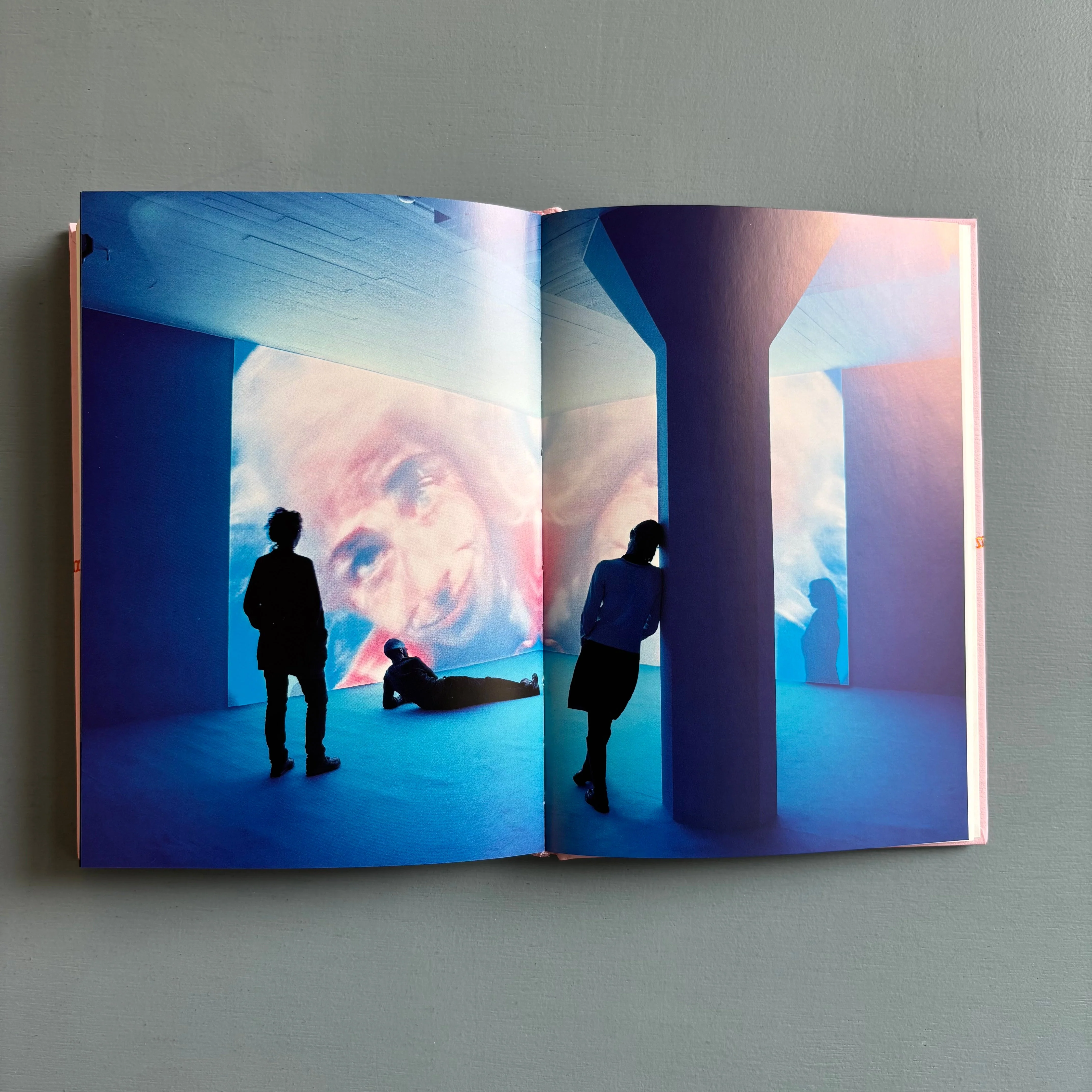 Pipilotti Rist - Congratulations! - Magasin 3/Lars Müller 2007 - Image 11
