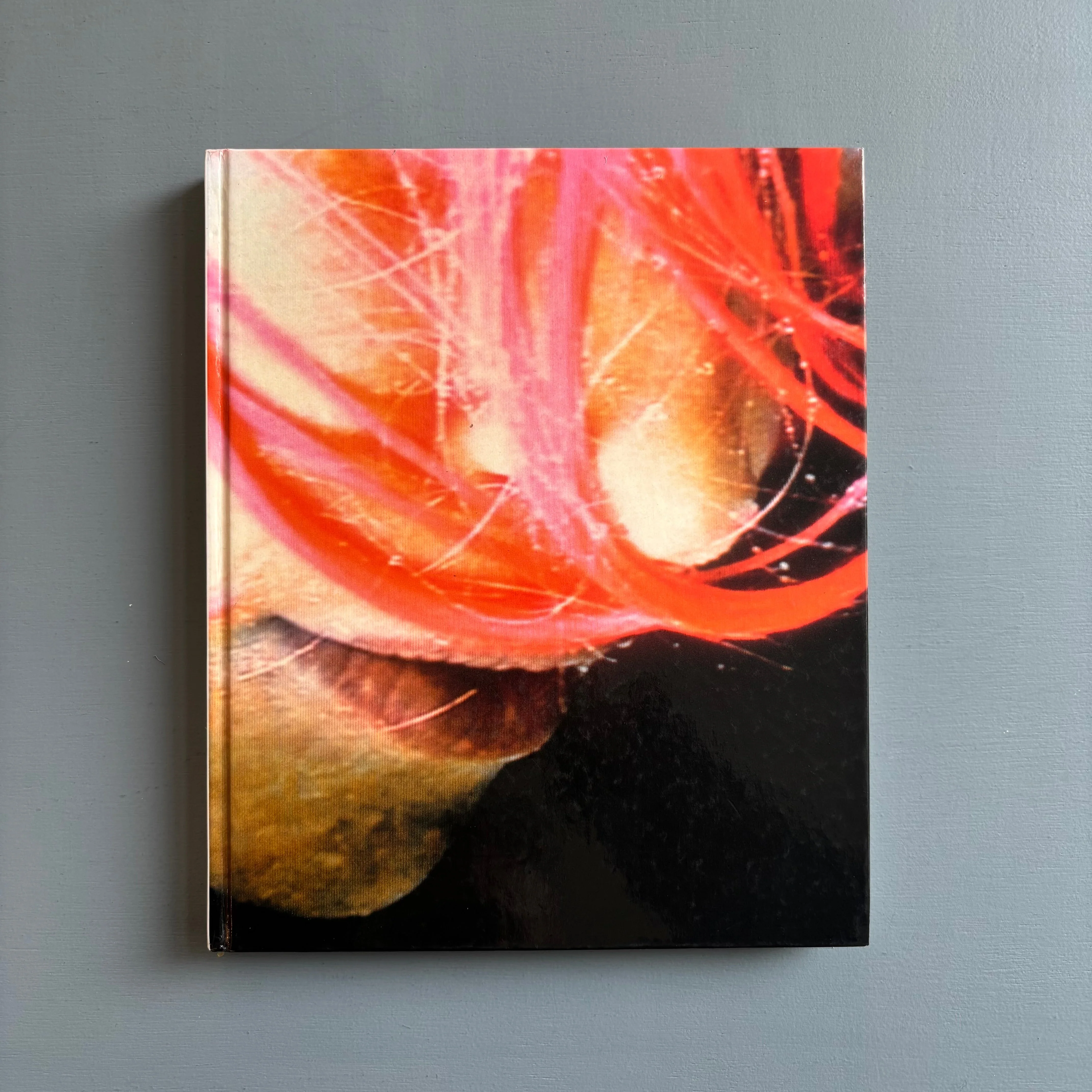 Pipilotti Rist - Himalaya 50 kg - Oktagon 1998