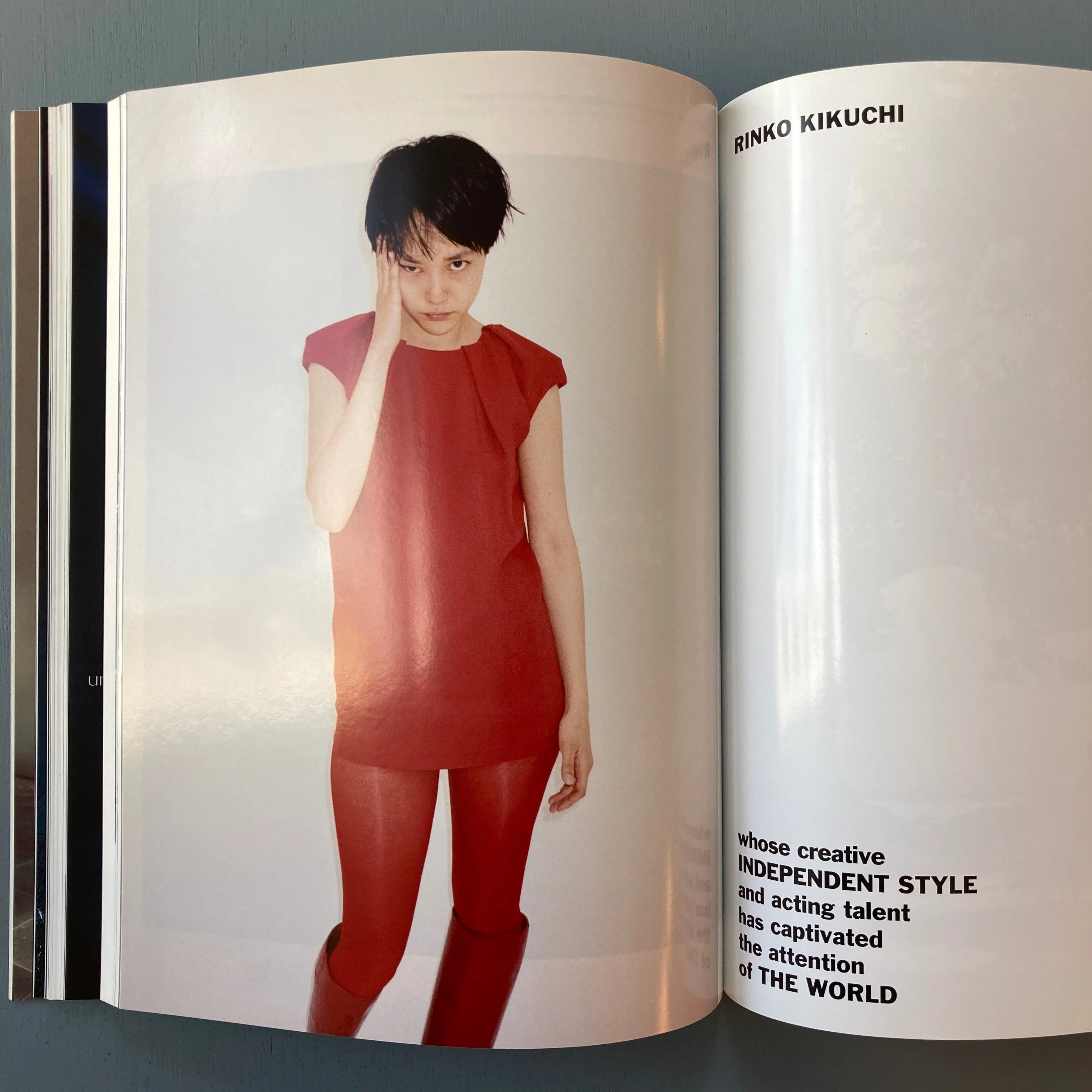Purple Fashion - Vol III. Issue 10 - Fall/Winter 2008/09 - Image 7