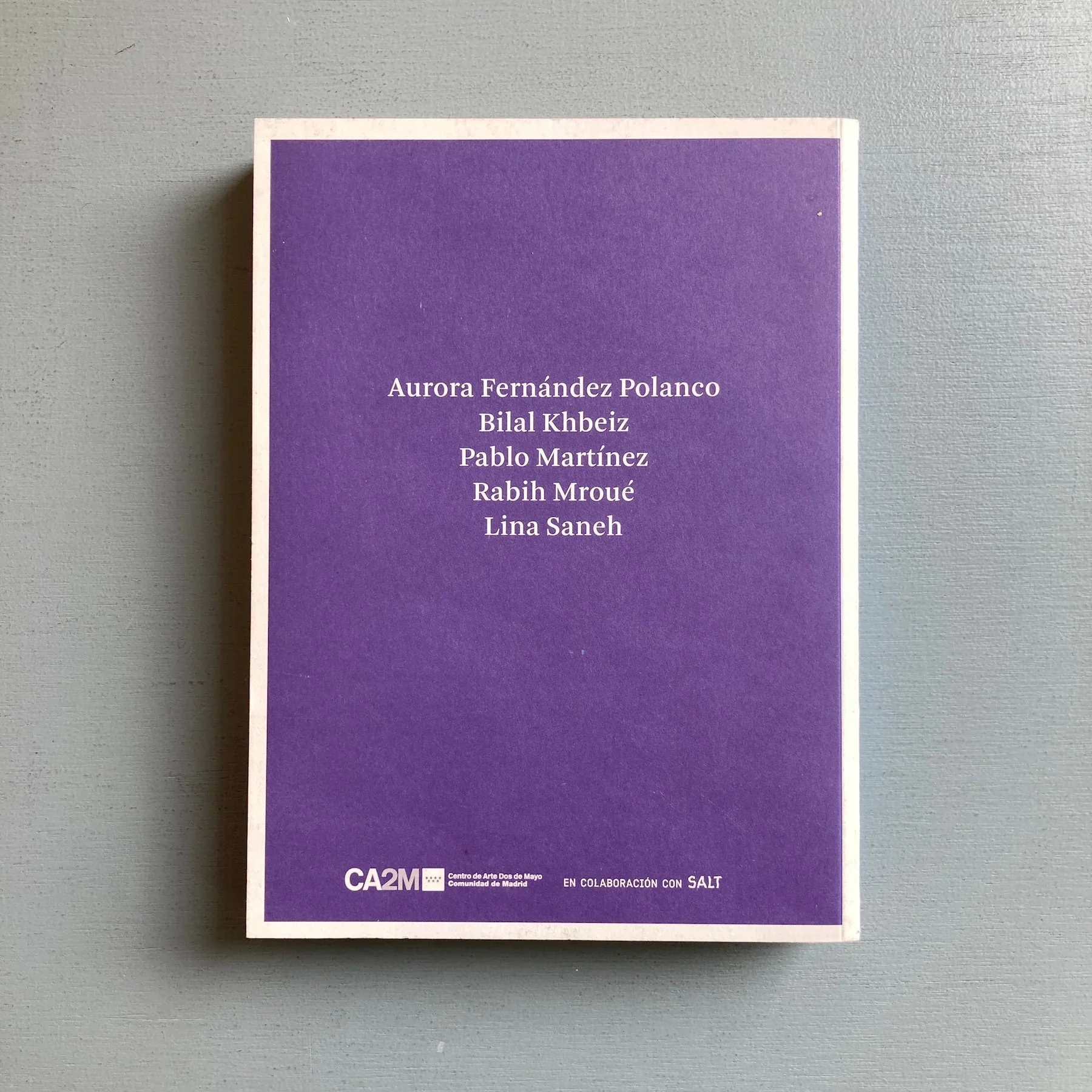 Rabih Mroué - Images(s), mon amour: fabrications - CA2M 2013 - Image 10