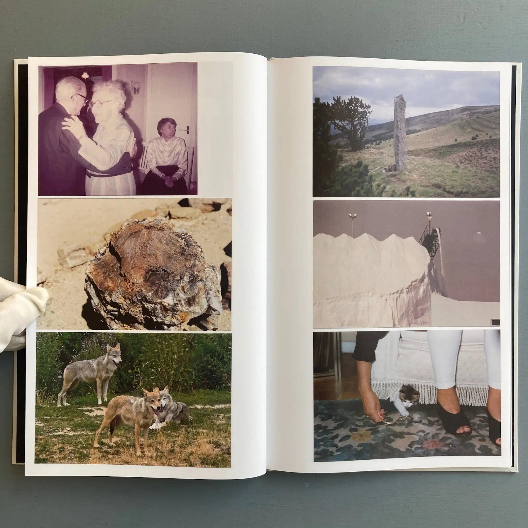 Raphaël Lecoquierre - Nūbēs (limited edition) - Editions Sylvain Courbois 2023 - Image 6