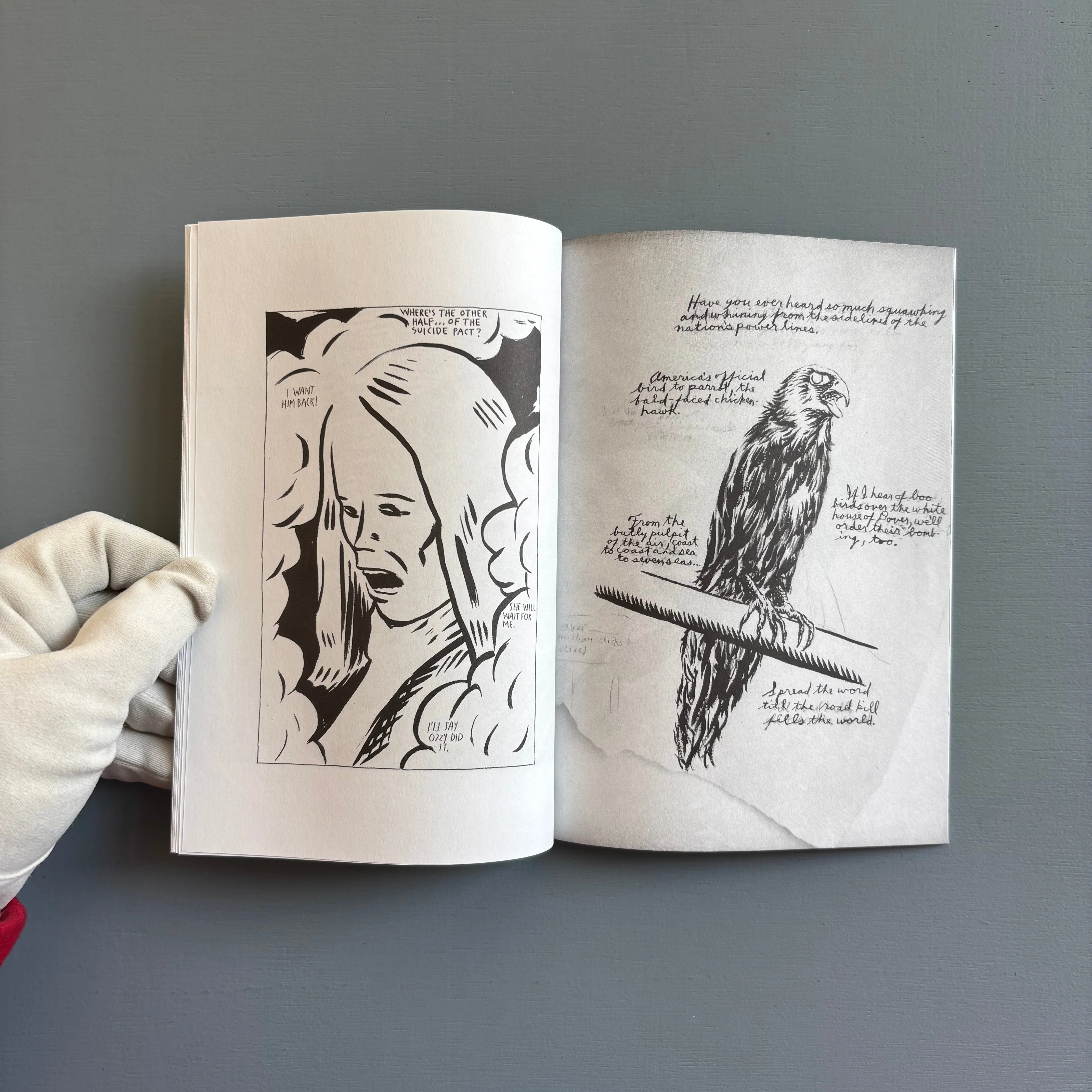 Raymond Pettibon - Selected Works from 1982 to 2011 - Nieves 2014 - Image 4