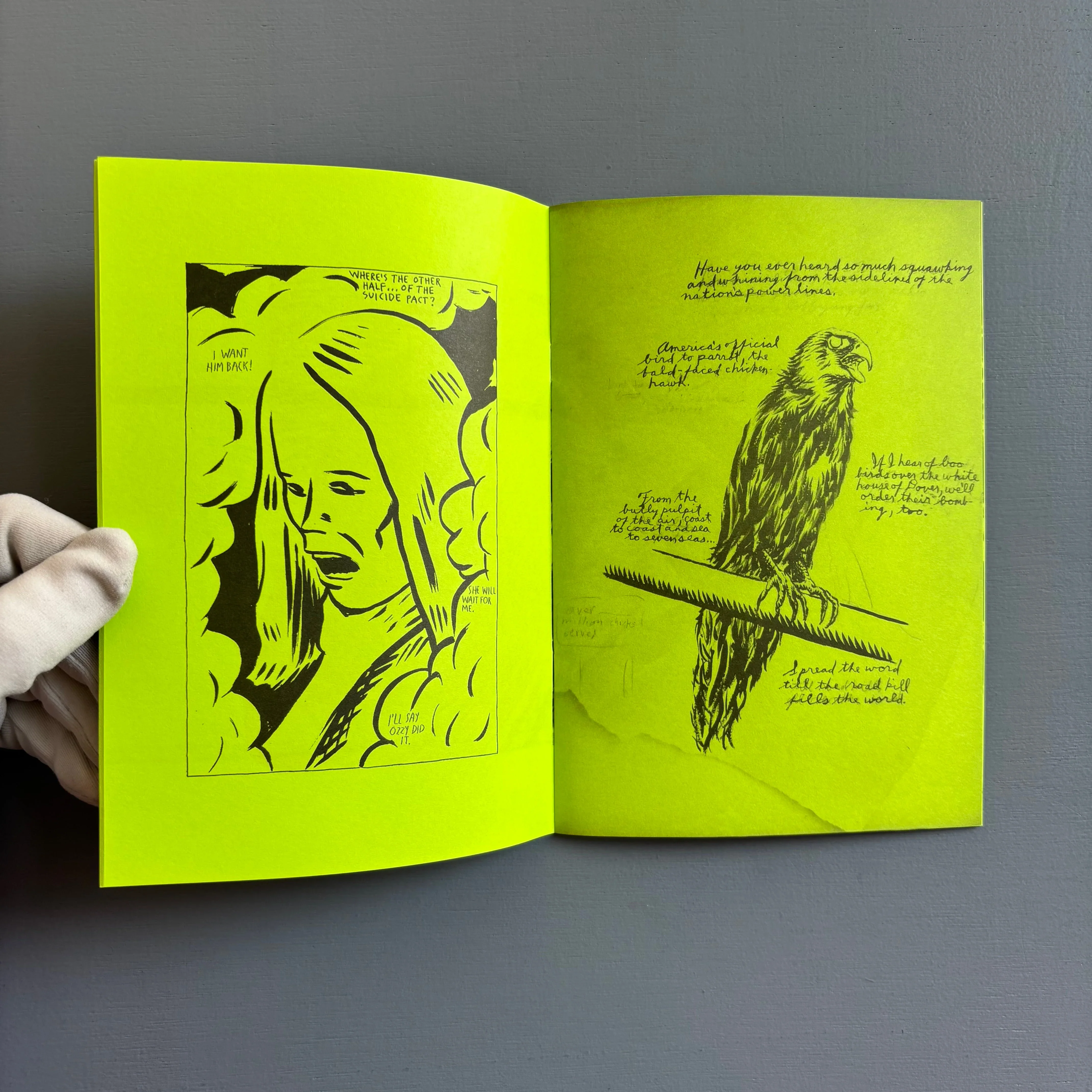 Raymond Pettibon - Selected Works from 1982 to 2011 - Nieves 2020 - Image 5