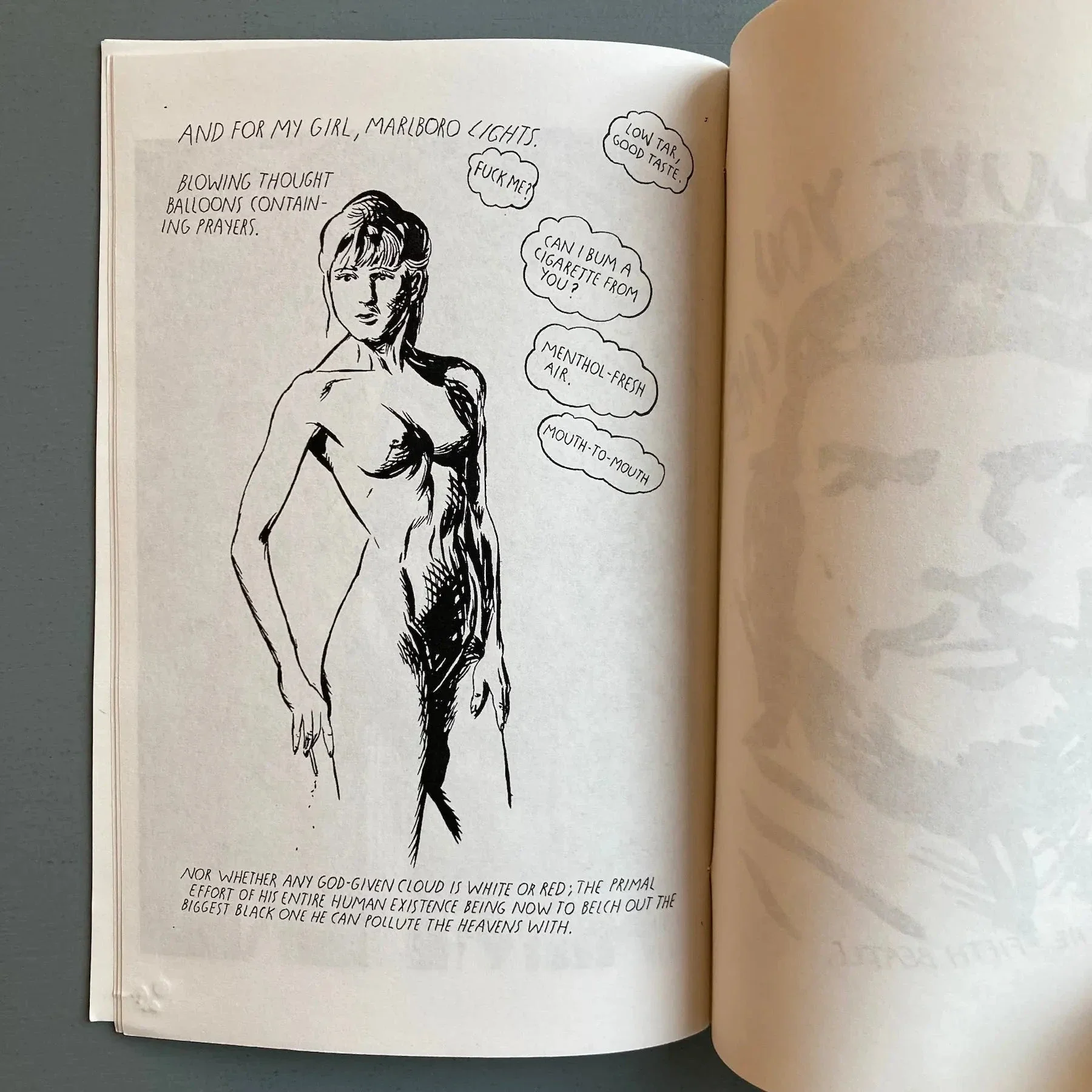 Raymond Pettibon (signed) - As always and so on - SST World Library 2006 - Image 7