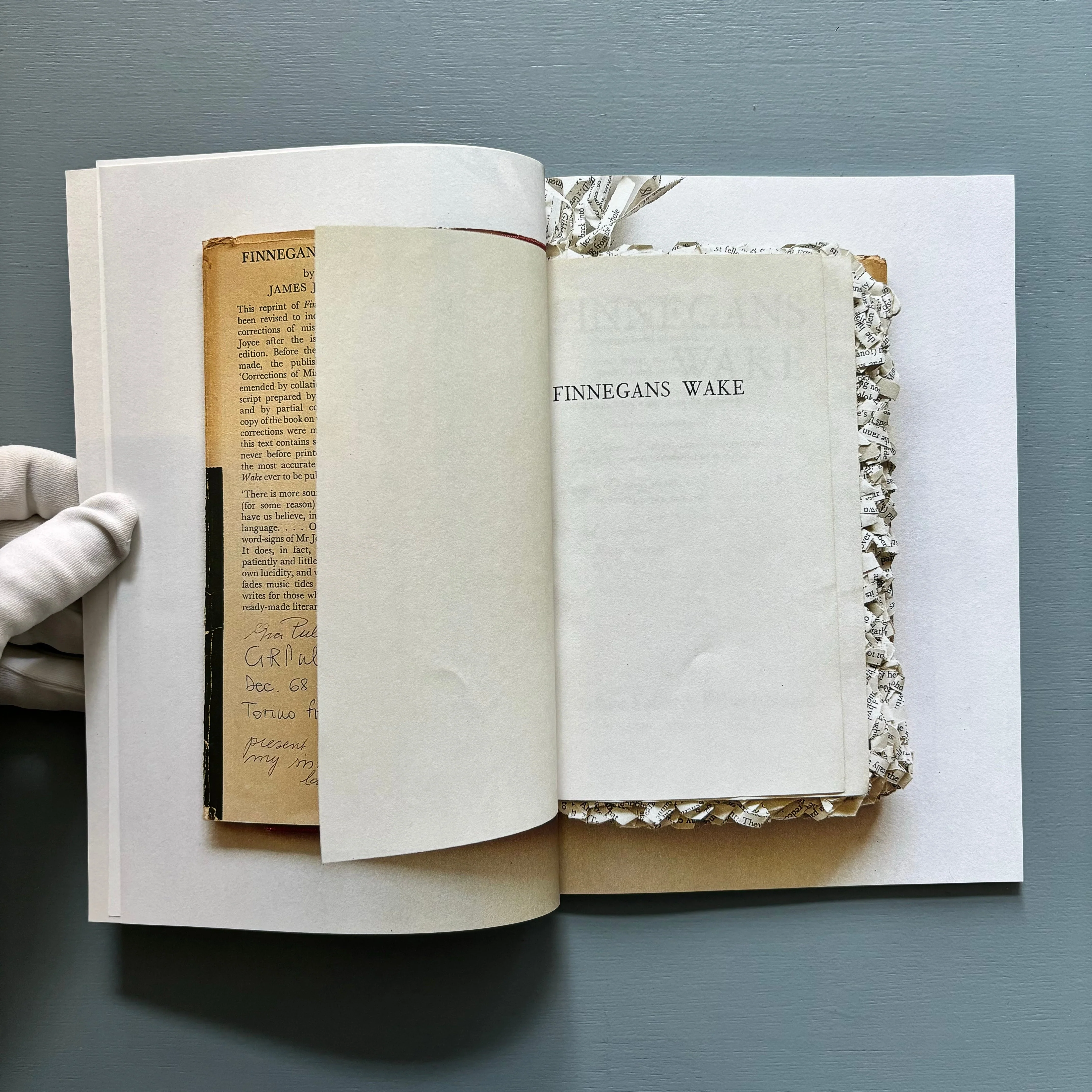 Reading Finnegan's Wake by Ximena Pérez Grobet - Vol. I - Nowhereman Press 2015 - Image 3