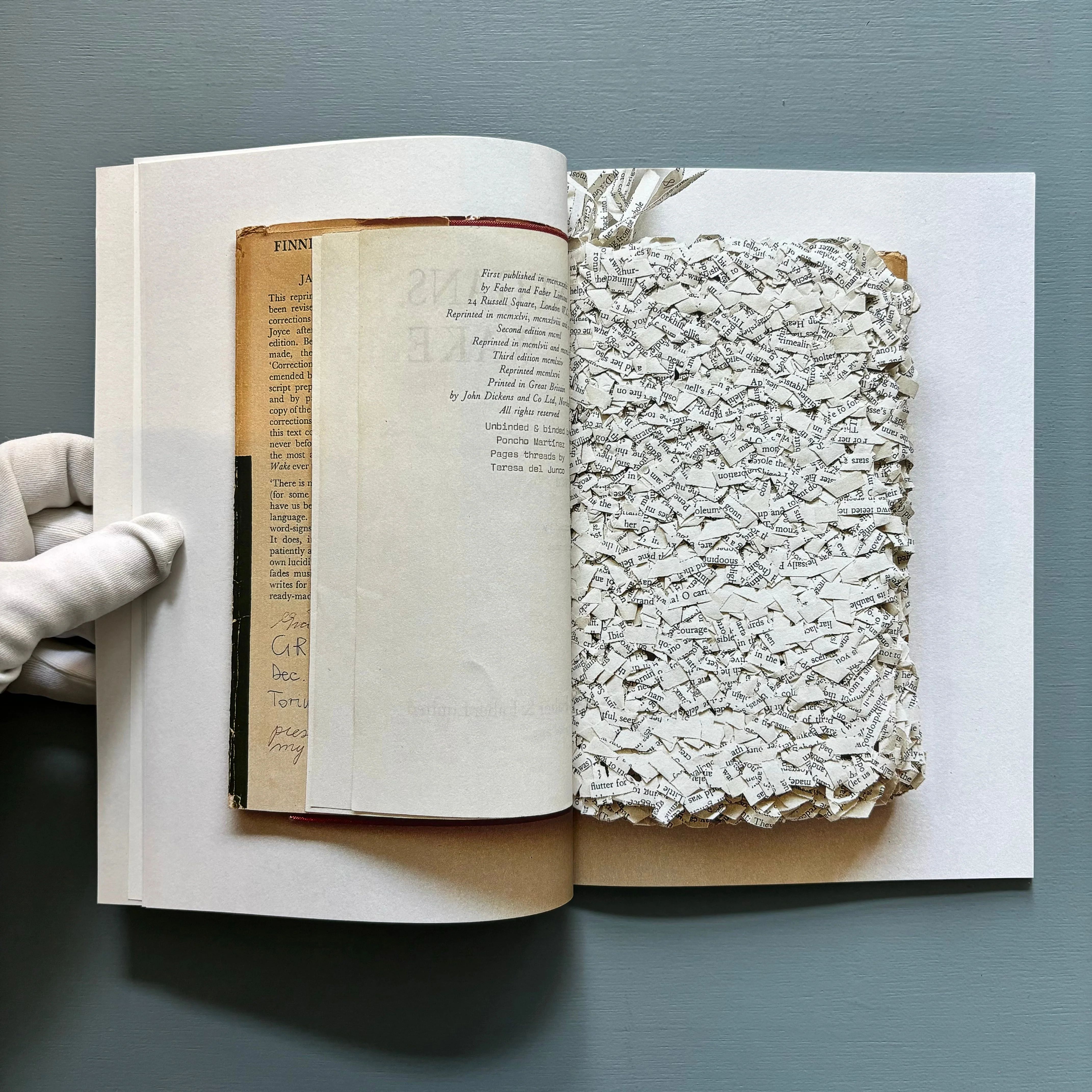 Reading Finnegan's Wake by Ximena Pérez Grobet - Vol. I - Nowhereman Press 2015 - Image 4