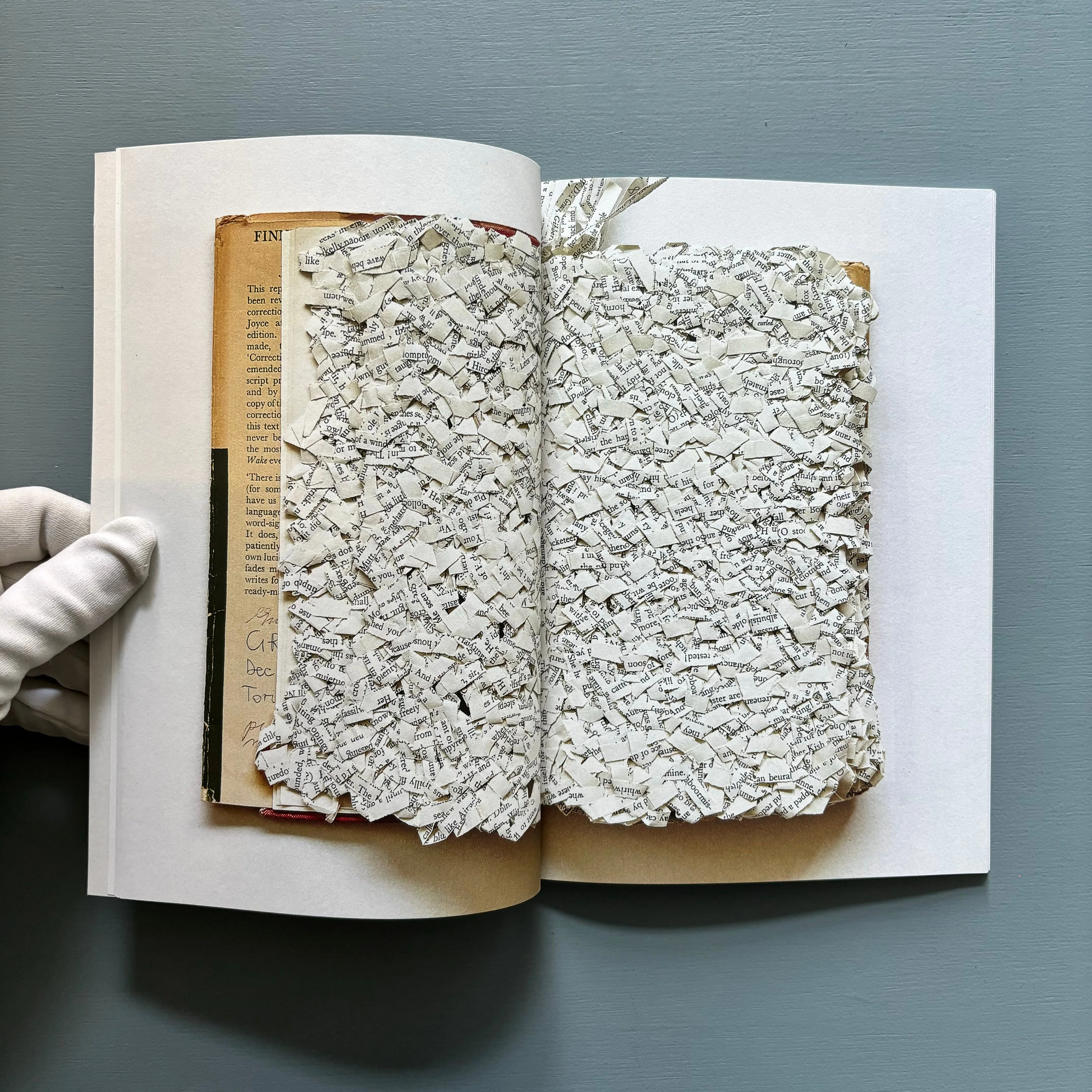 Reading Finnegan's Wake by Ximena Pérez Grobet - Vol. I - Nowhereman Press 2015 - Image 5
