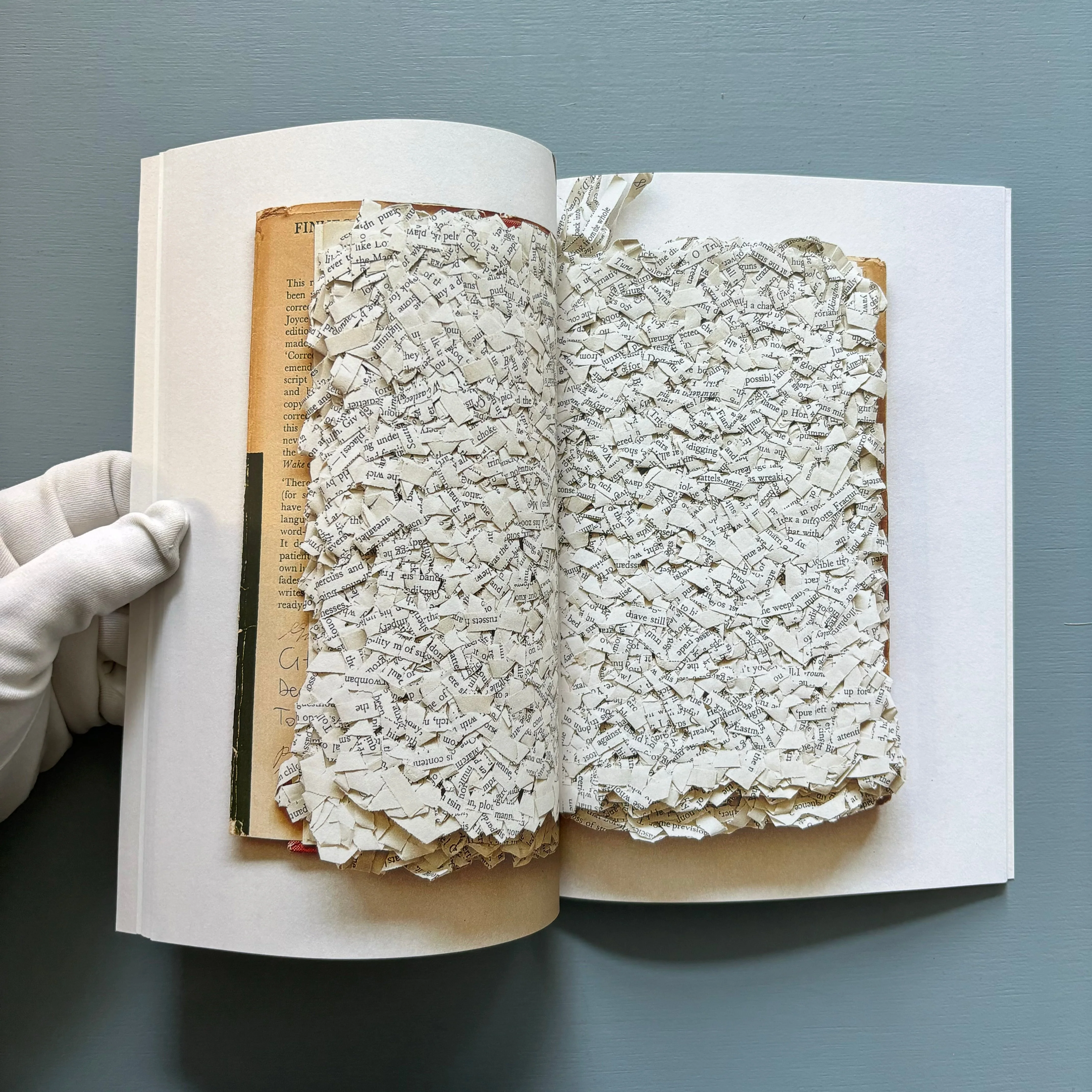 Reading Finnegan's Wake by Ximena Pérez Grobet - Vol. I - Nowhereman Press 2015 - Image 6