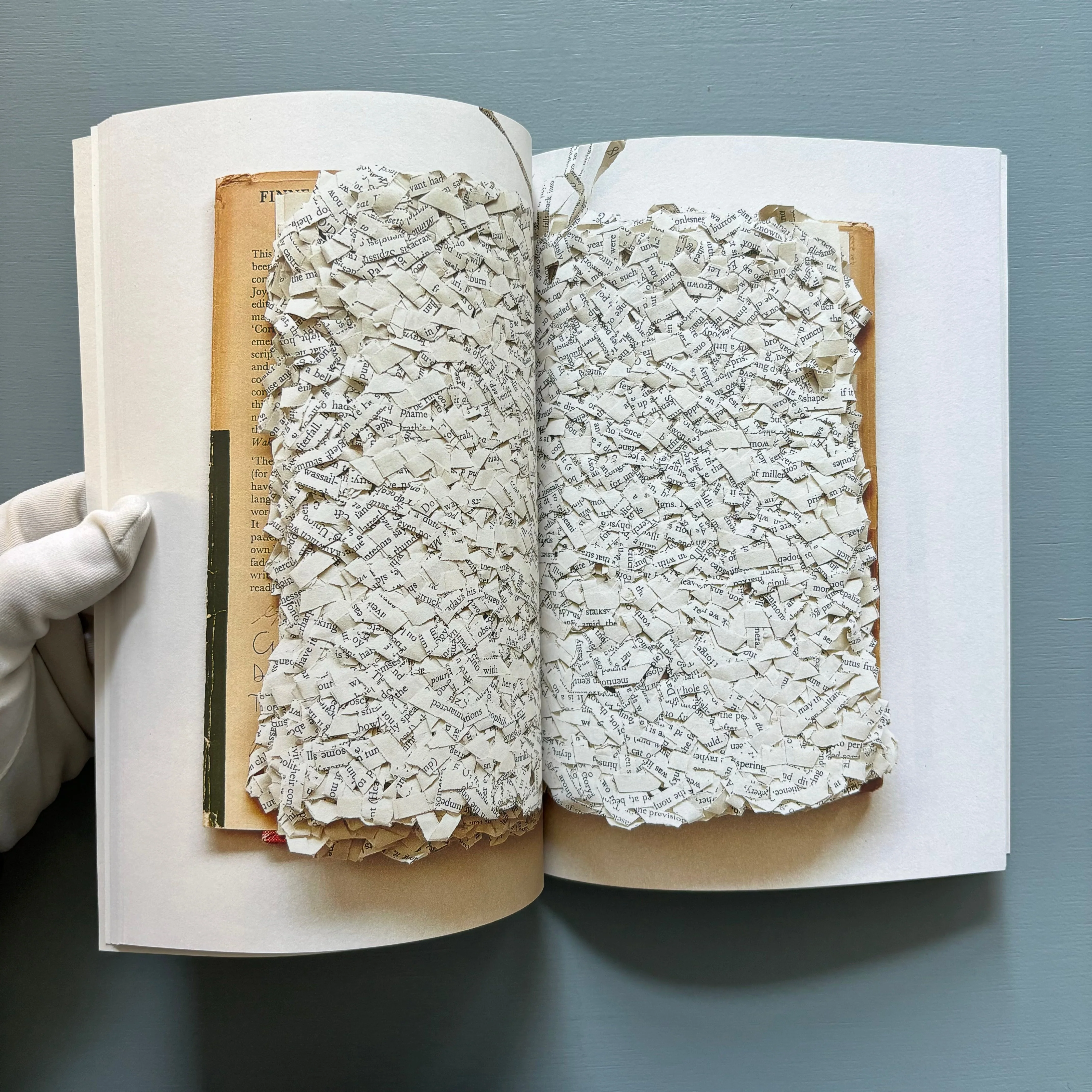 Reading Finnegan's Wake by Ximena Pérez Grobet - Vol. I - Nowhereman Press 2015 - Image 7