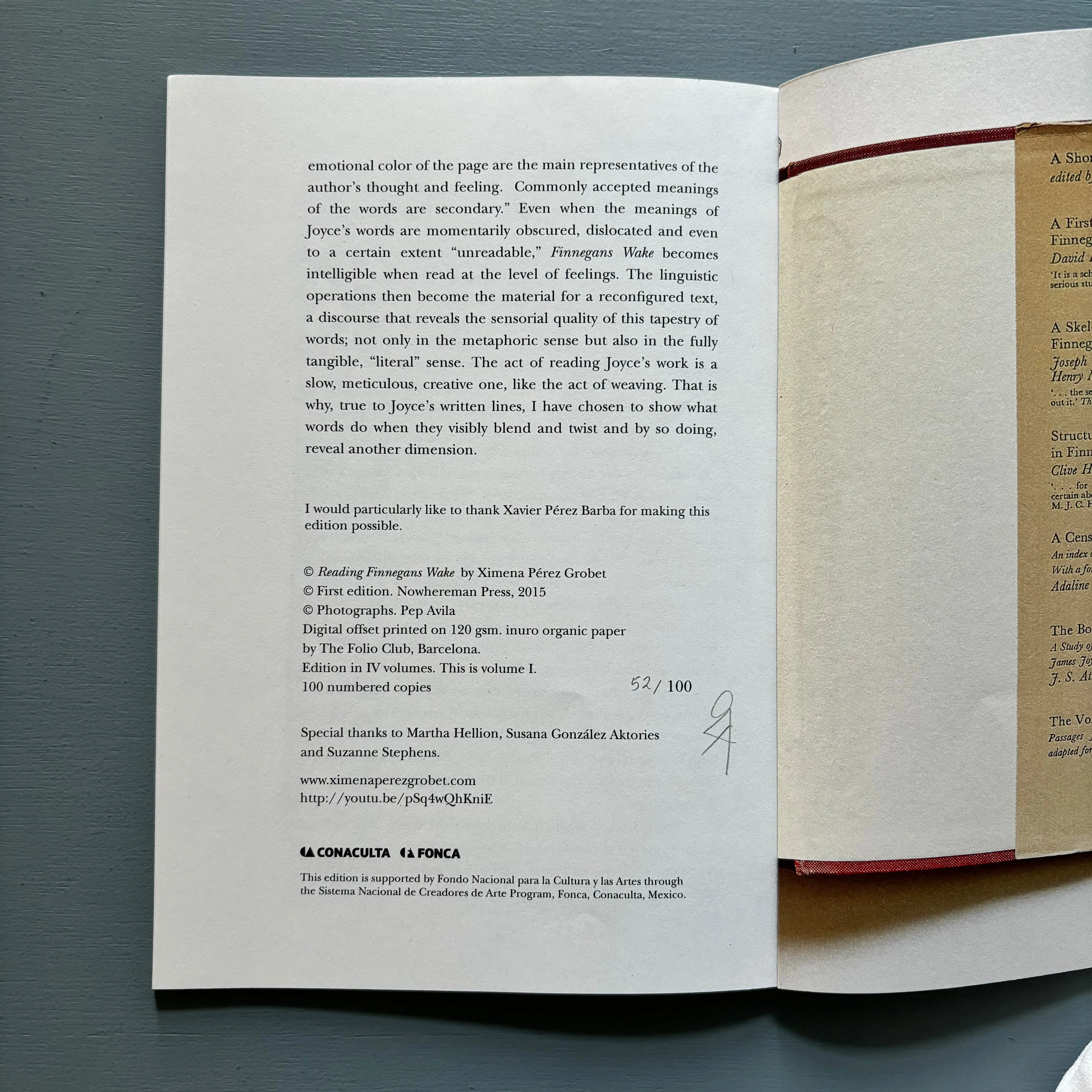 Reading Finnegan's Wake by Ximena Pérez Grobet - Vol. I - Nowhereman Press 2015 - Image 8