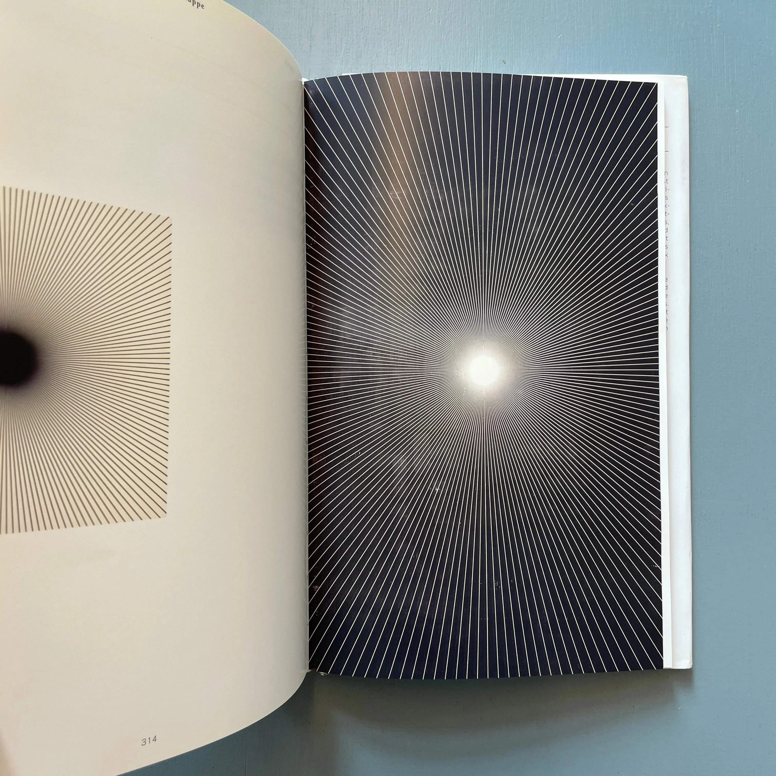 R.H. Quaytman - Spine - Sternberg Press 2011 - Image 6