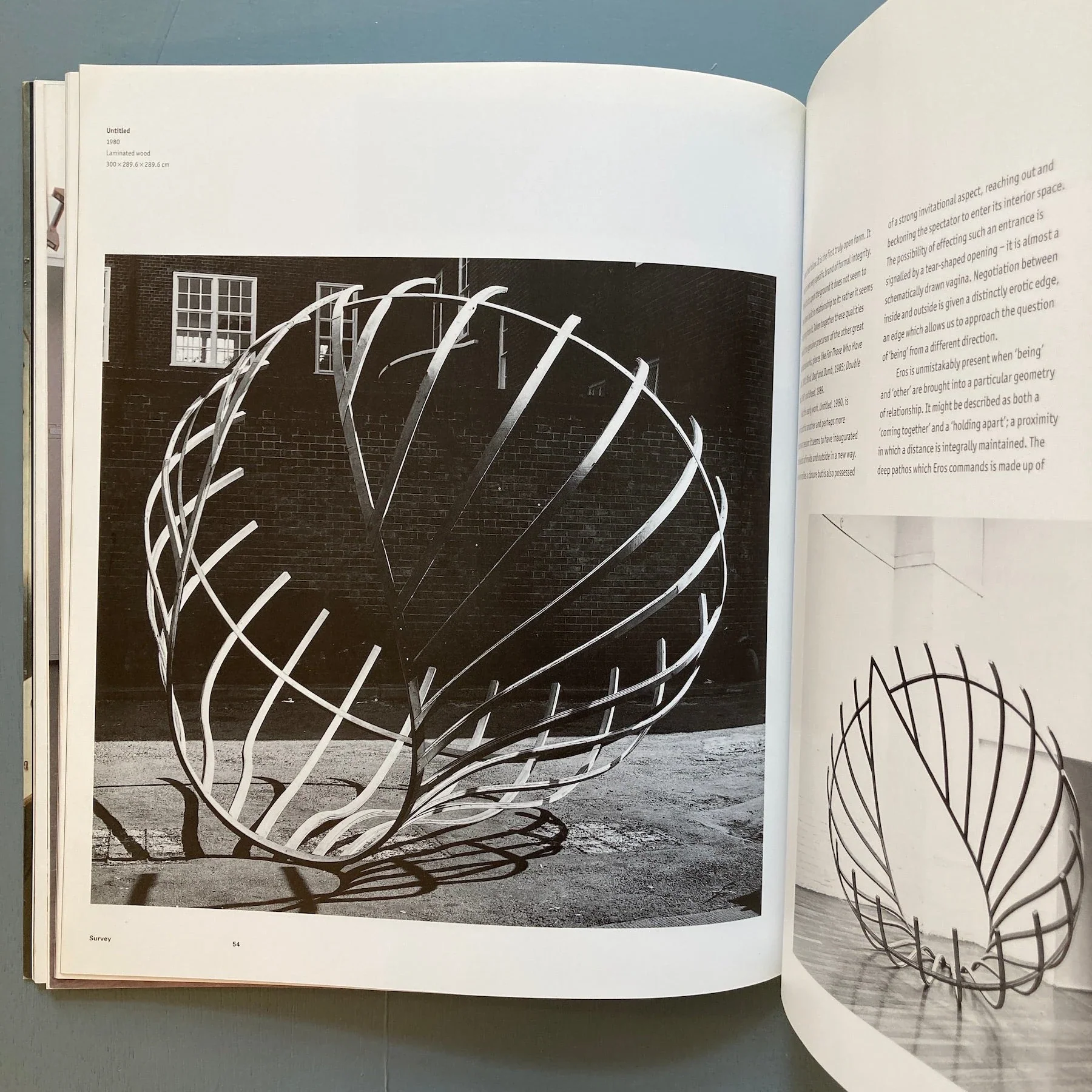 Richard Deacon - Phaidon 1990 - Image 3