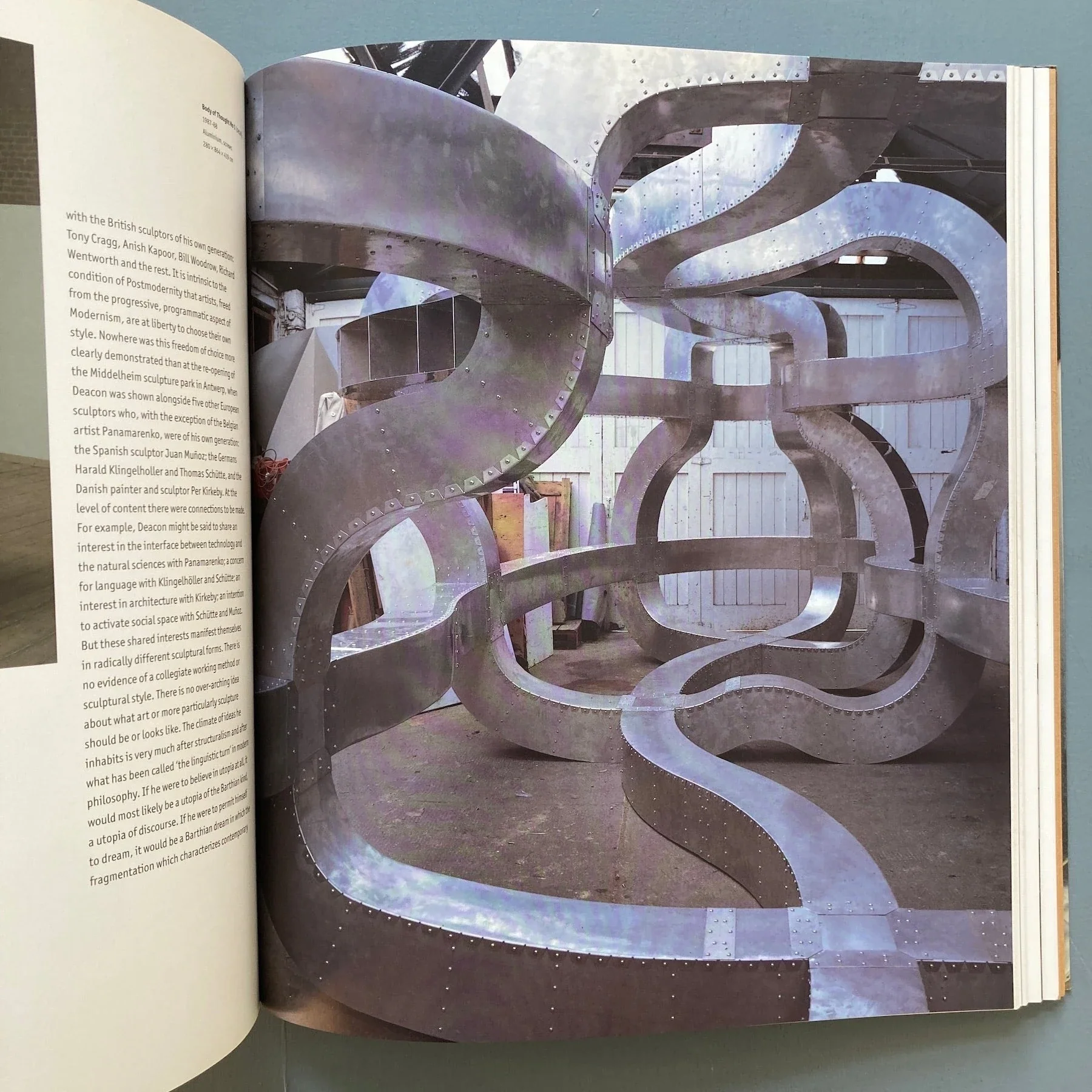 Richard Deacon - Phaidon 1990 - Image 4
