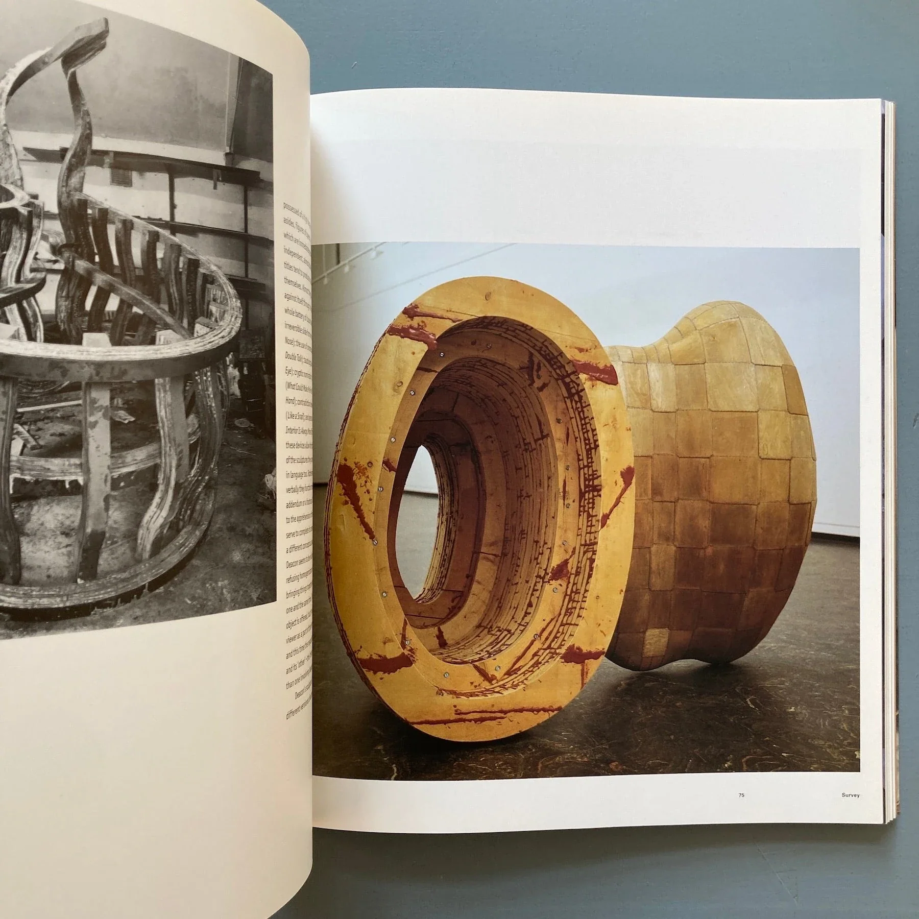 Richard Deacon - Phaidon 1990 - Image 6