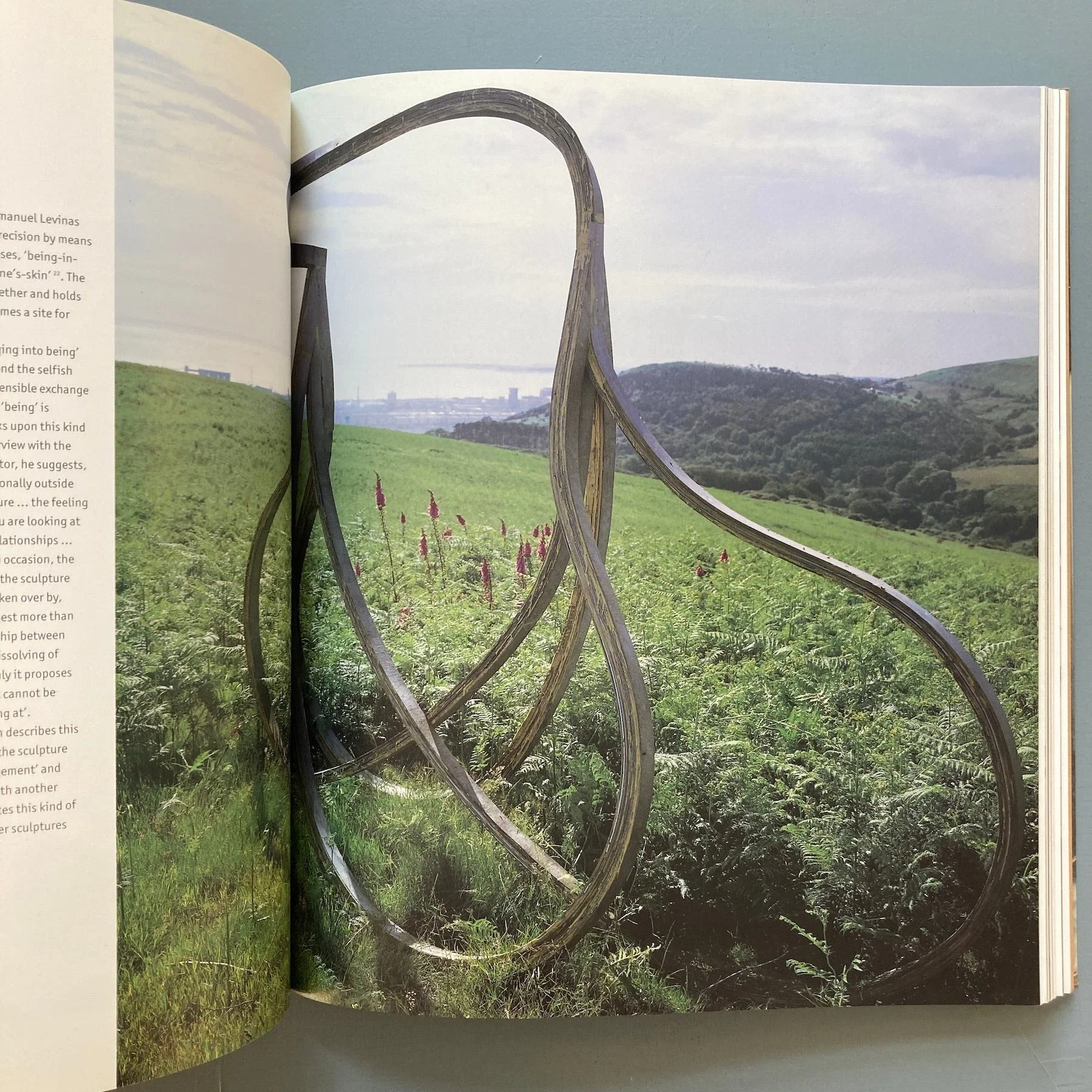 Richard Deacon - Phaidon 1990 - Image 9