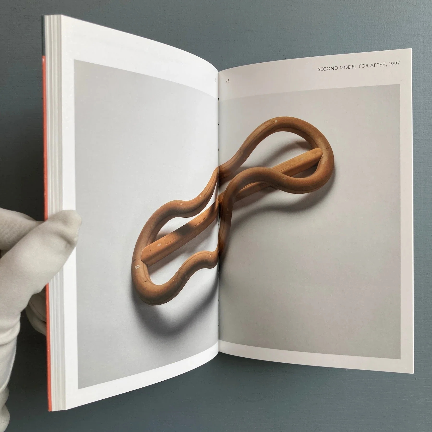 Richard Deacon - Under the Weather - Thomas Schütte Siftung 2016 - Image 5